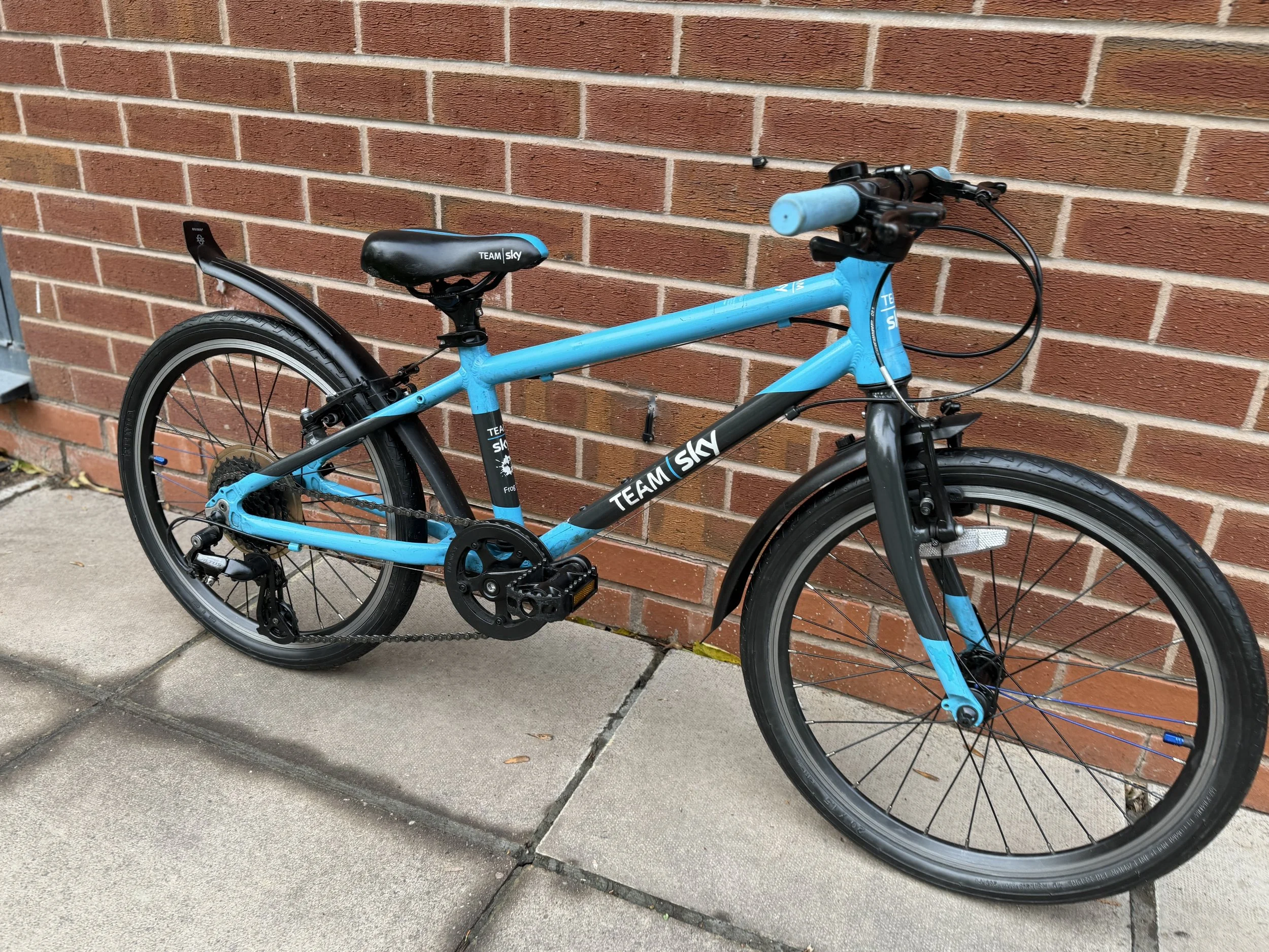 Frog Bikes for sale 8 .jpg