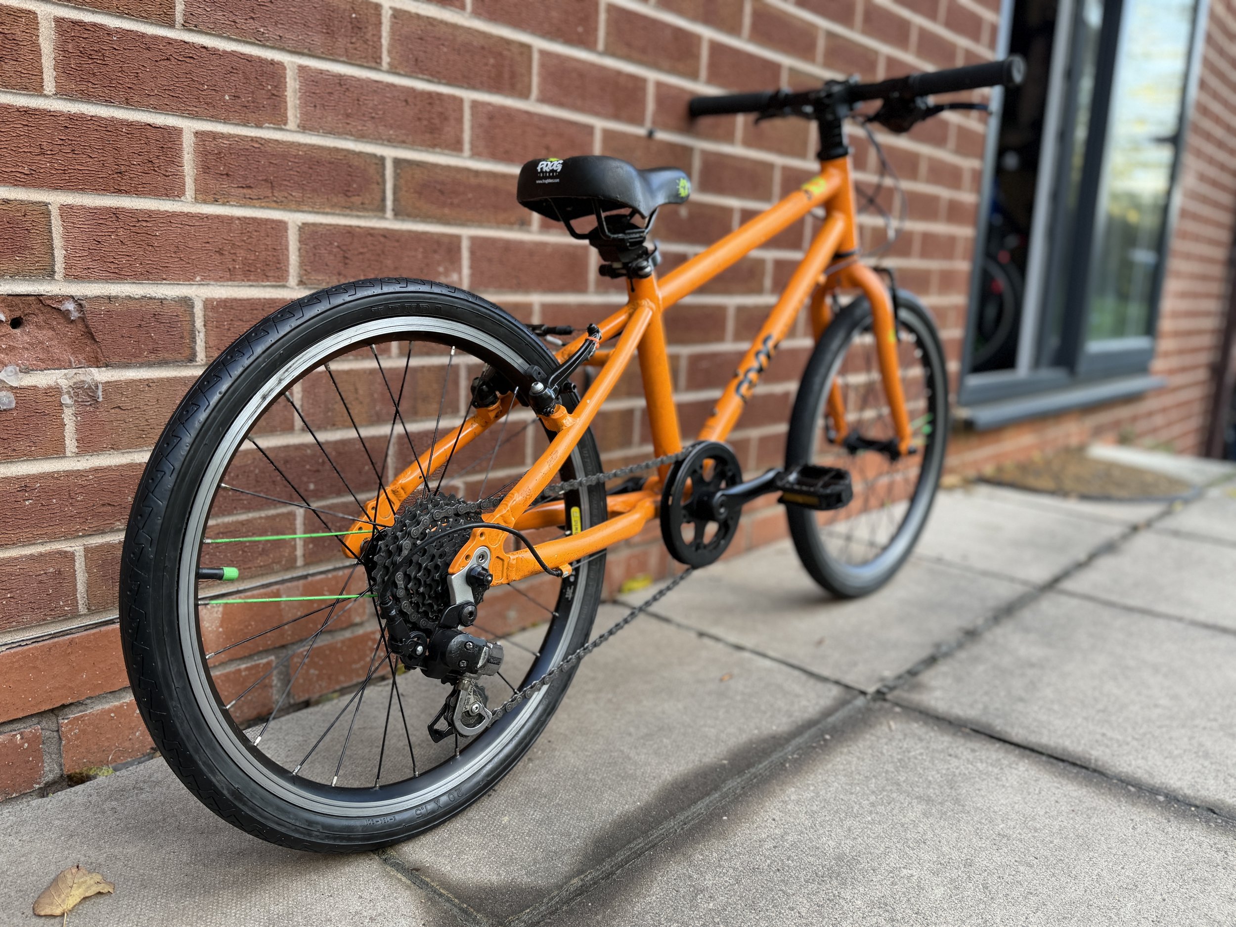 Frog Bike 55 10.jpg