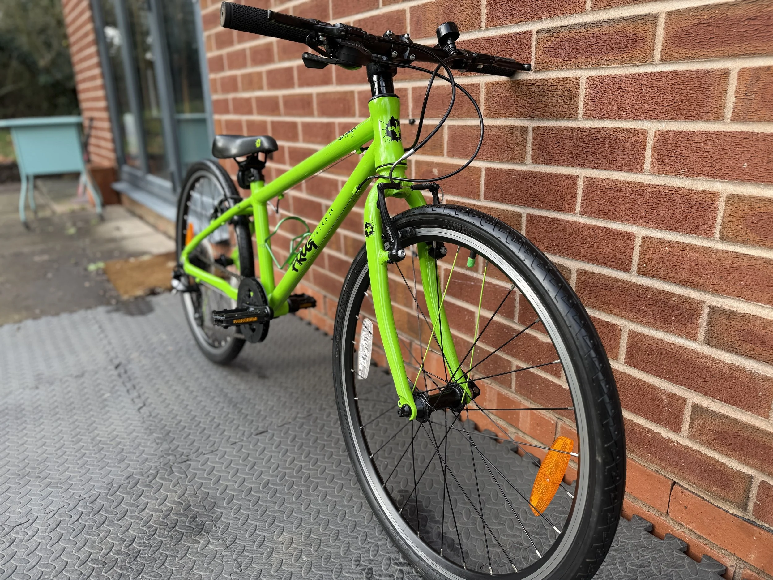 Pre loved green Frog 62 9.jpg