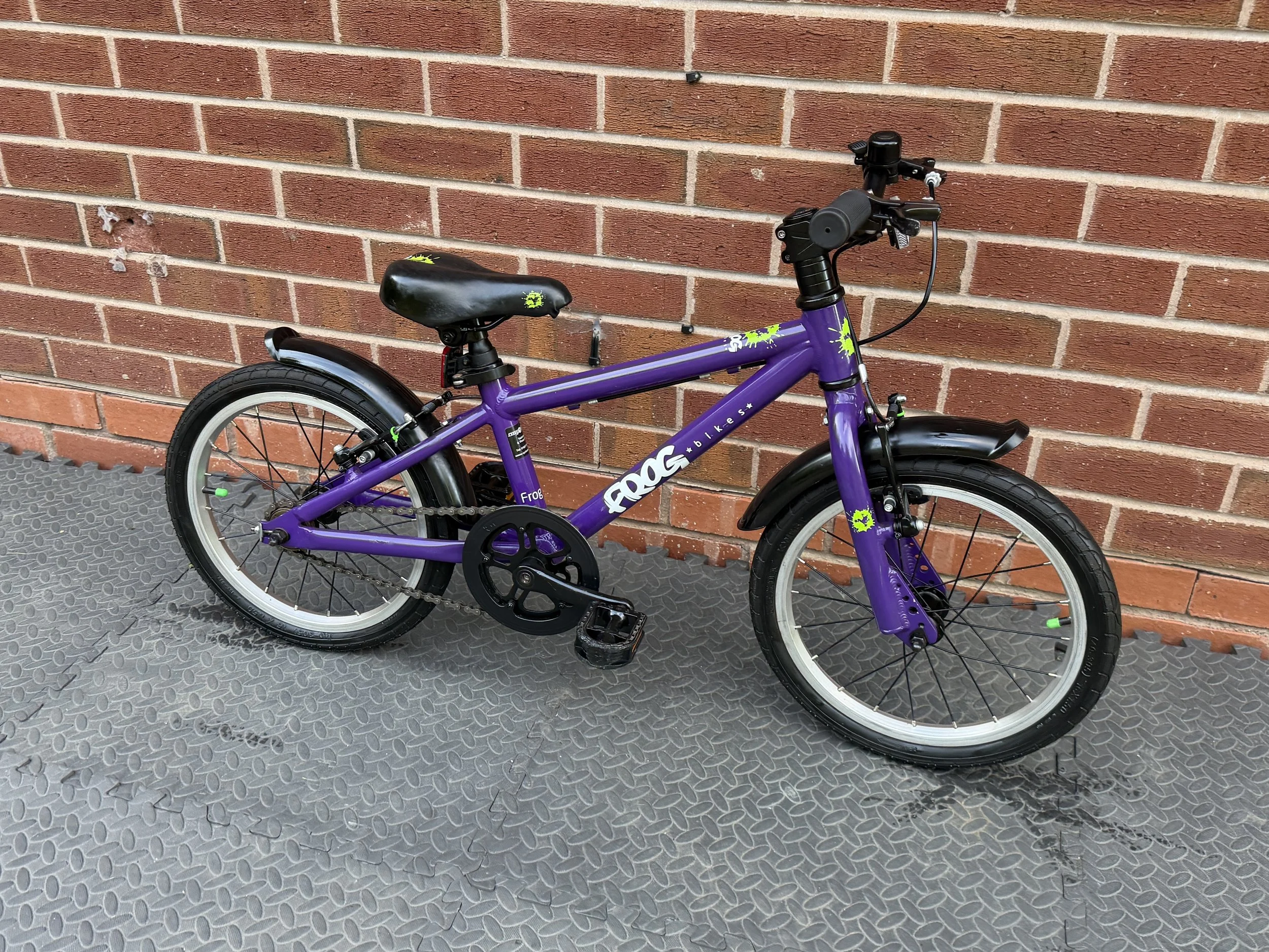 Purple Frog Bike 48 8 .jpg