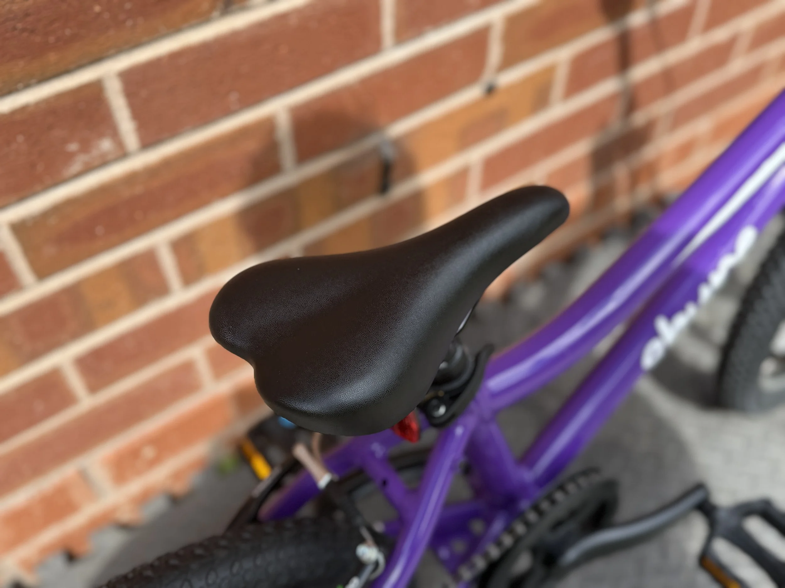 16” purple Shyre Bike 14 .jpg
