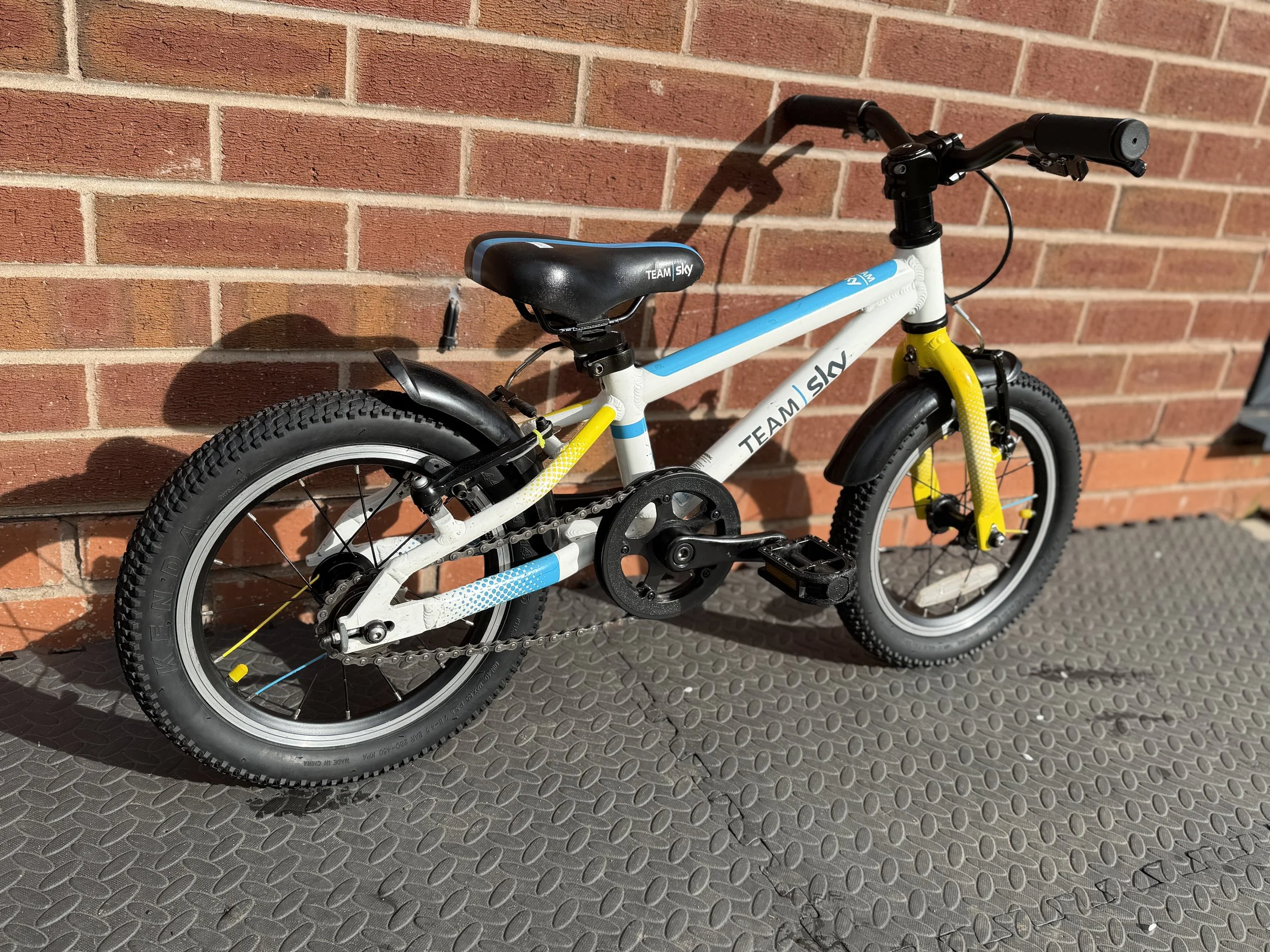 Frog Bike For Sale 7.jpg