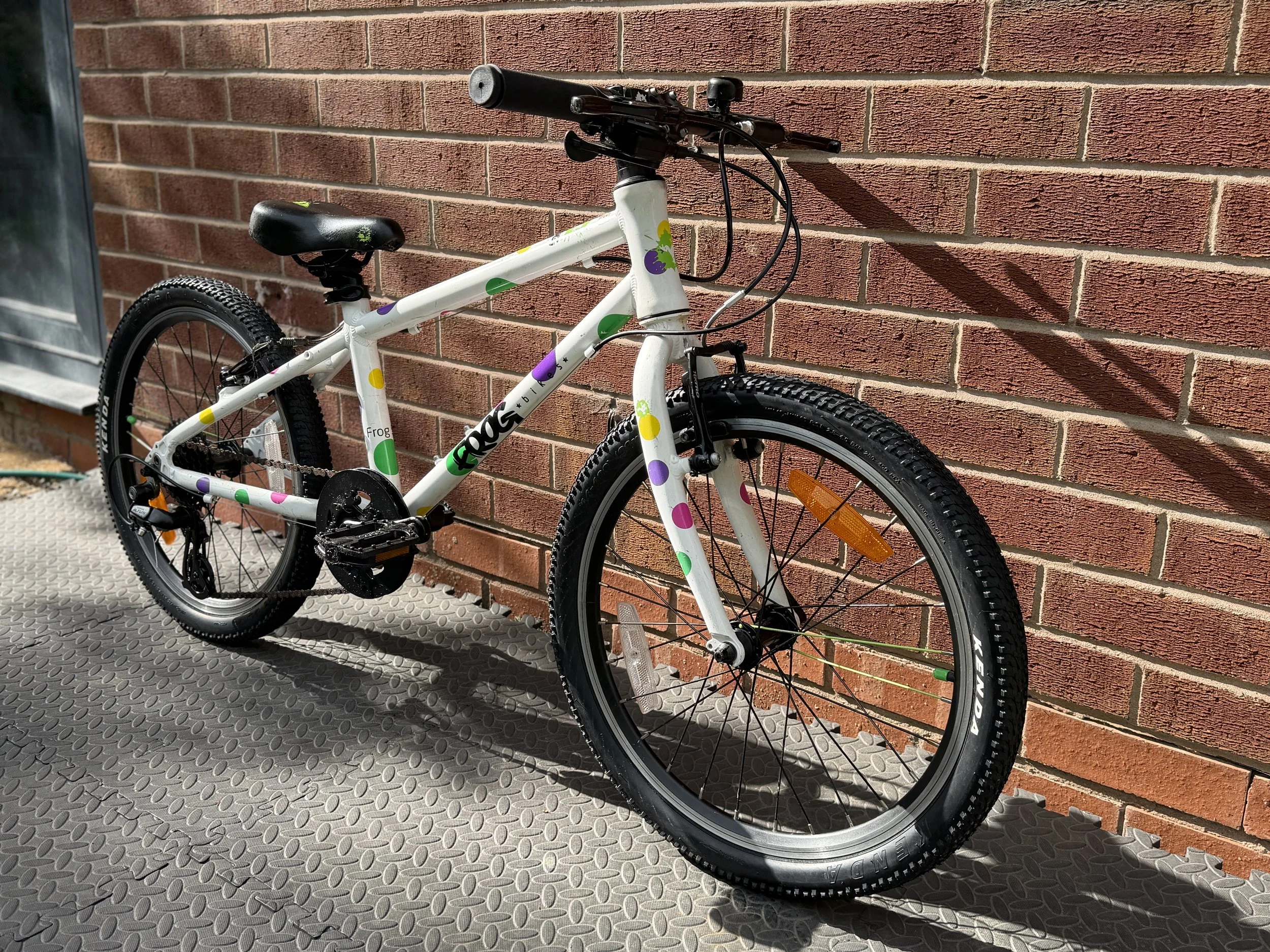 Spotty Frog Bike 9 .jpg