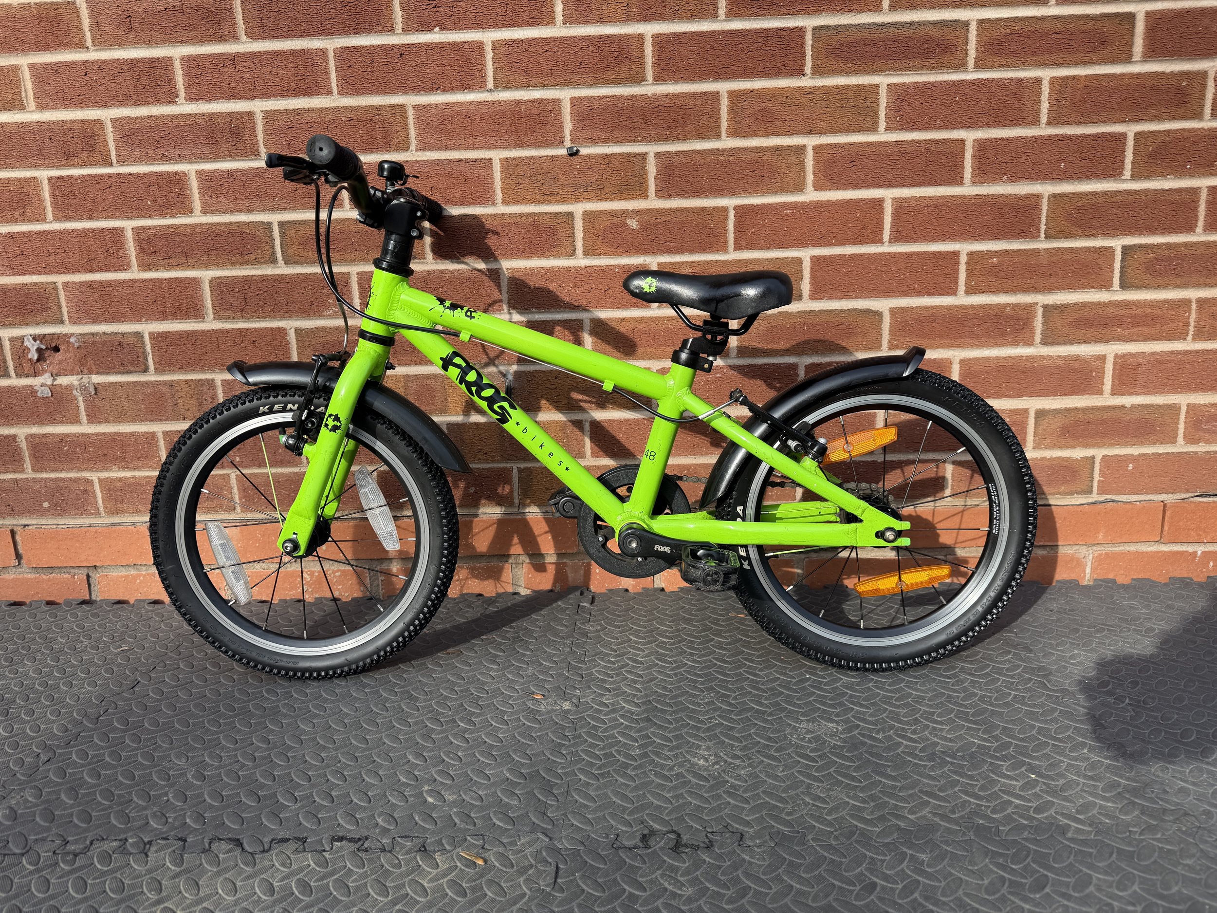 Green Frog Bike 48 2 .jpg