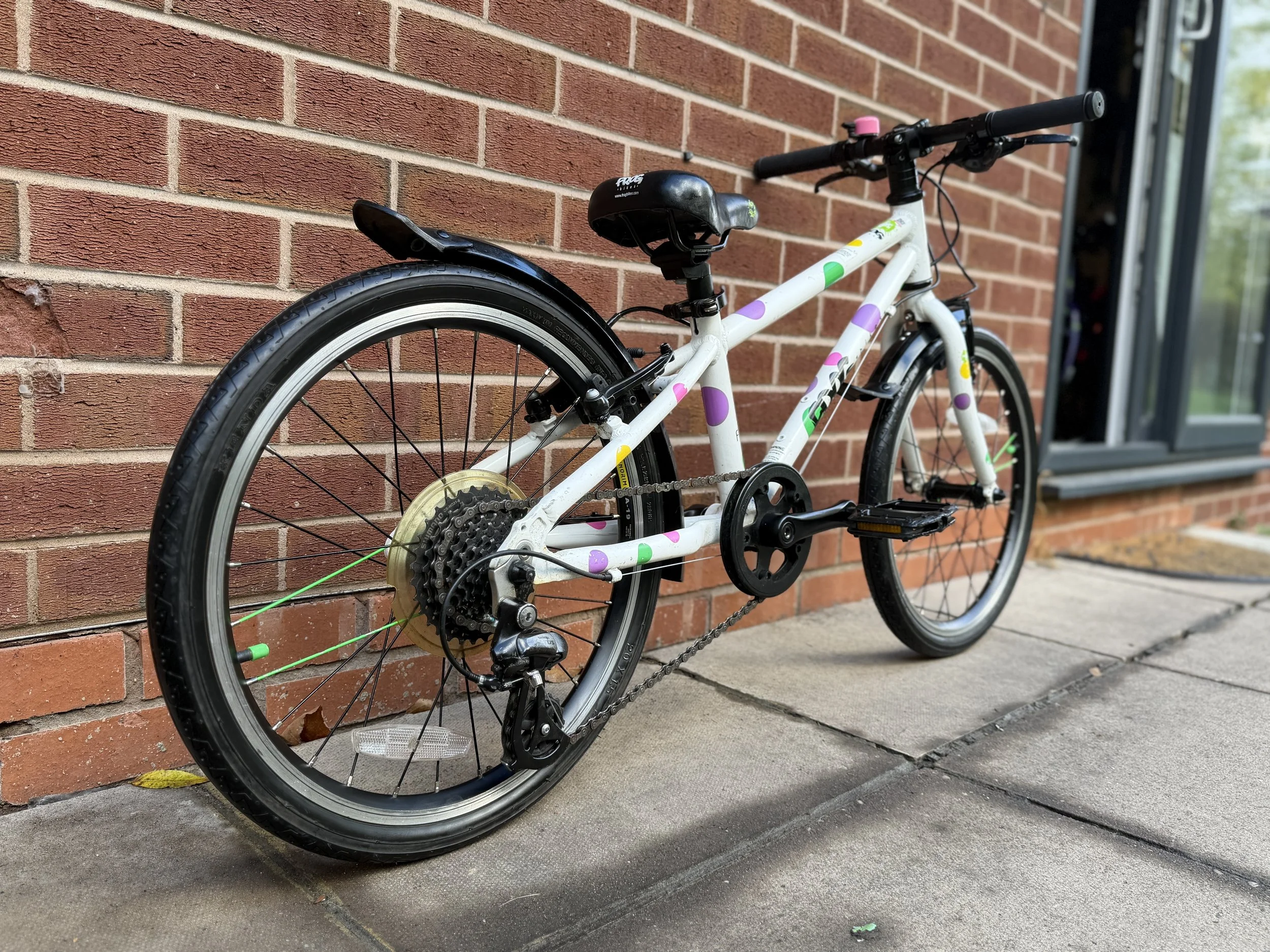 Spotty Frog Bike 10 .jpg