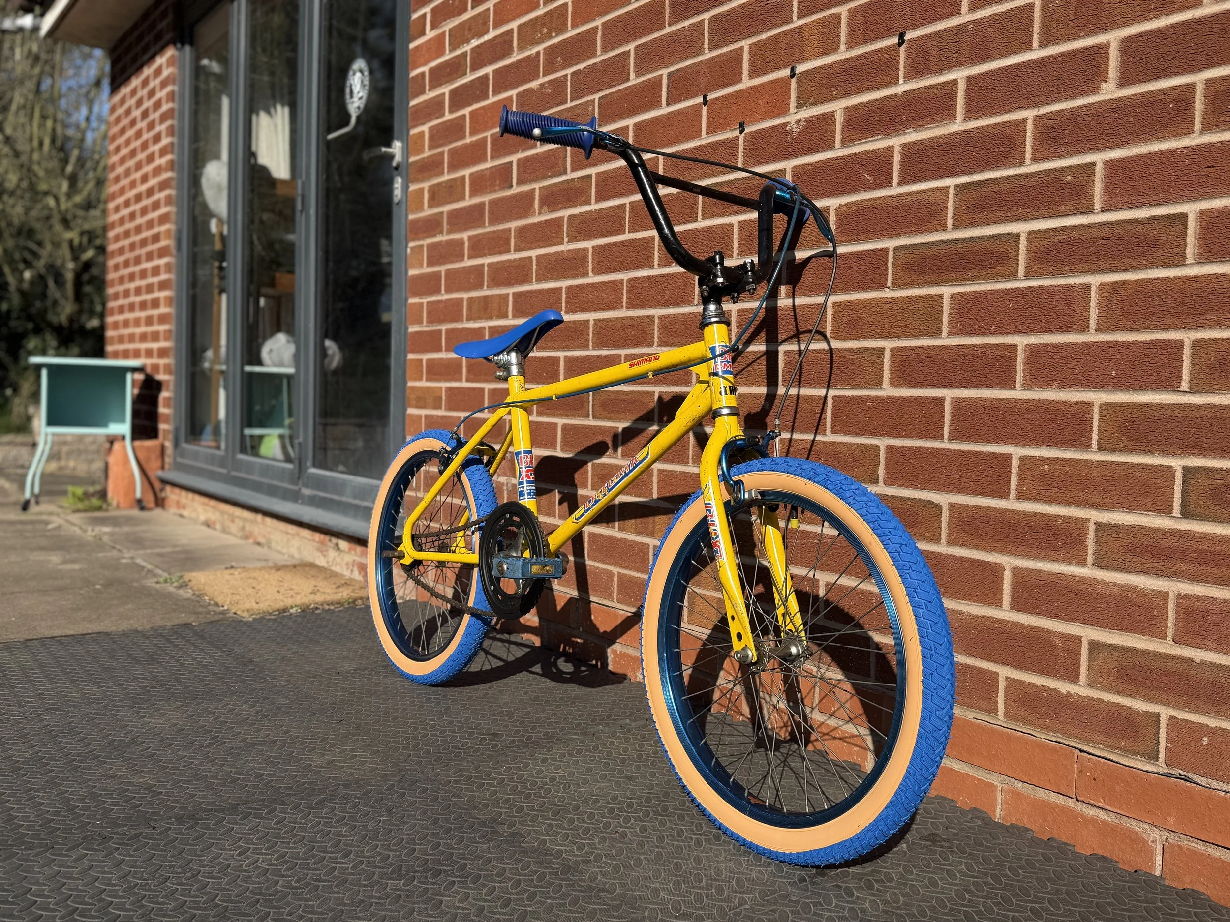 Old School BMX 13 .jpg