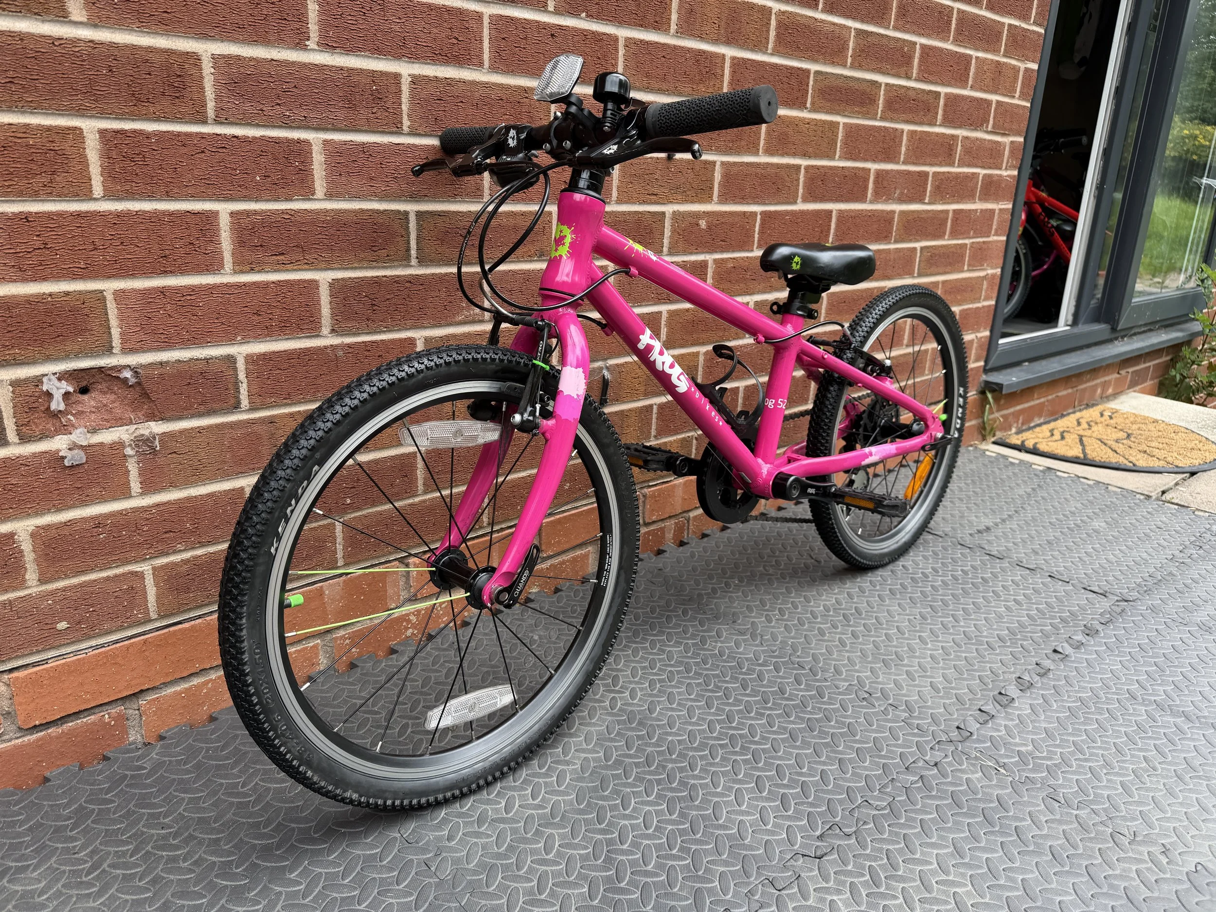 Pink Frog 52 5 .JPG