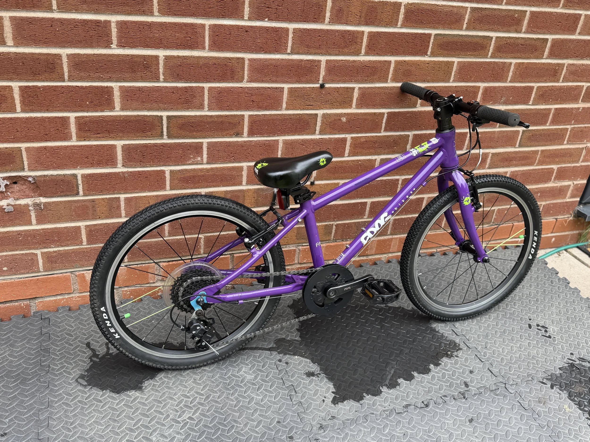 Purple Frog 53 7 .jpg