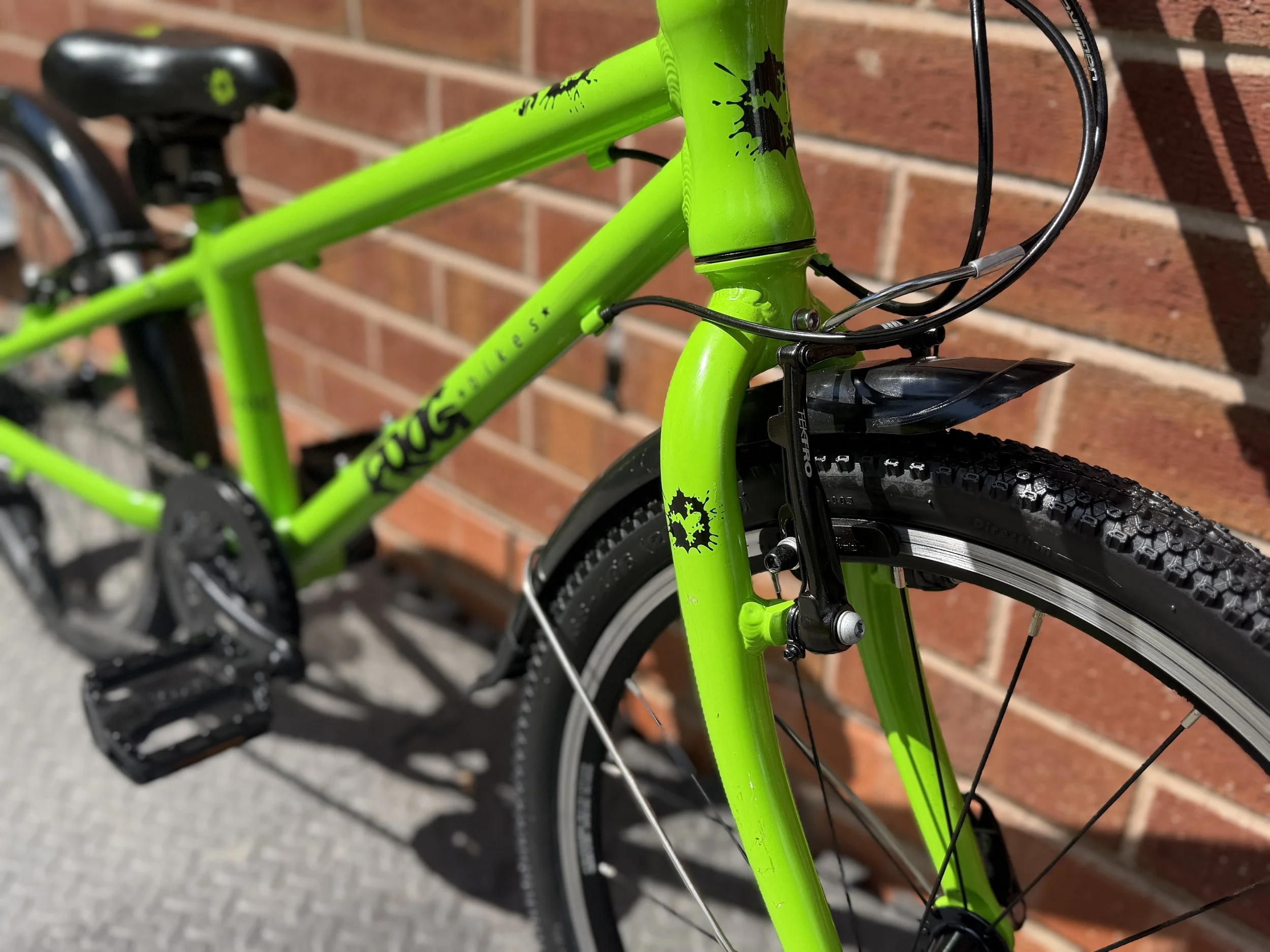 Green Frog 52 14 .jpg