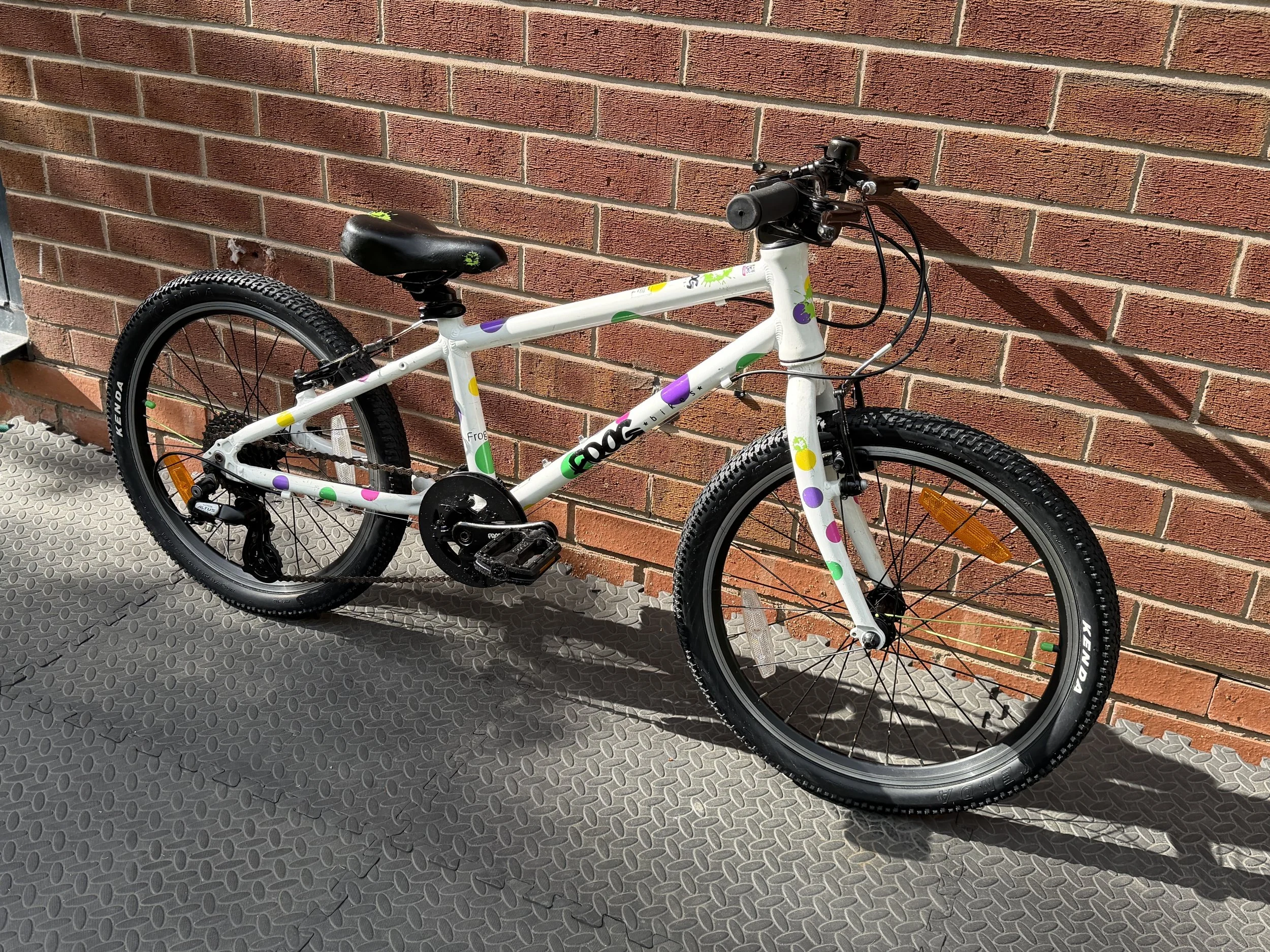 Spotty Frog Bike 8 .jpg
