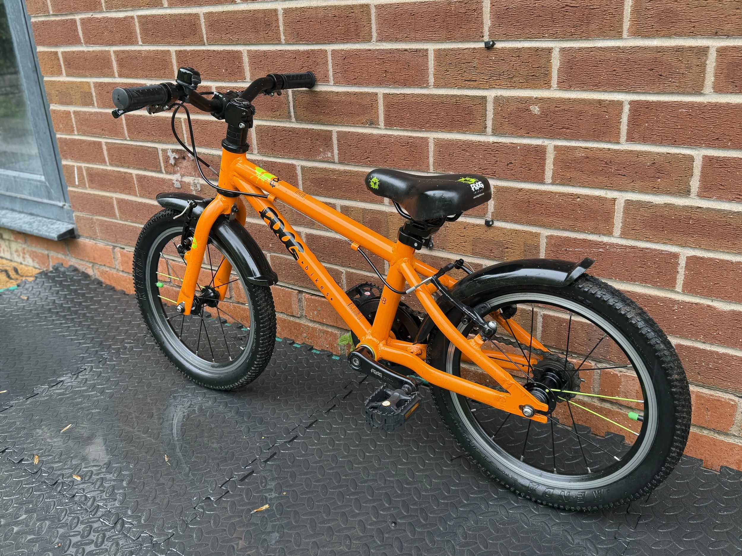 Orange Frog 48 4 .jpg