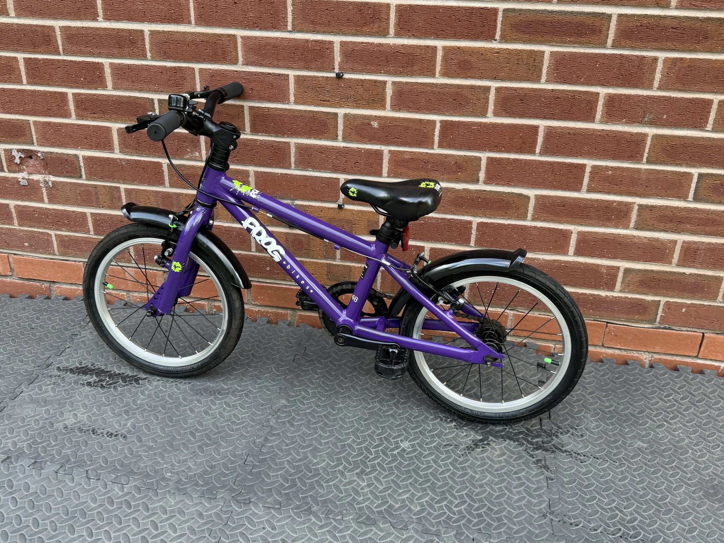 Purple Frog Bike 48 3 .jpg