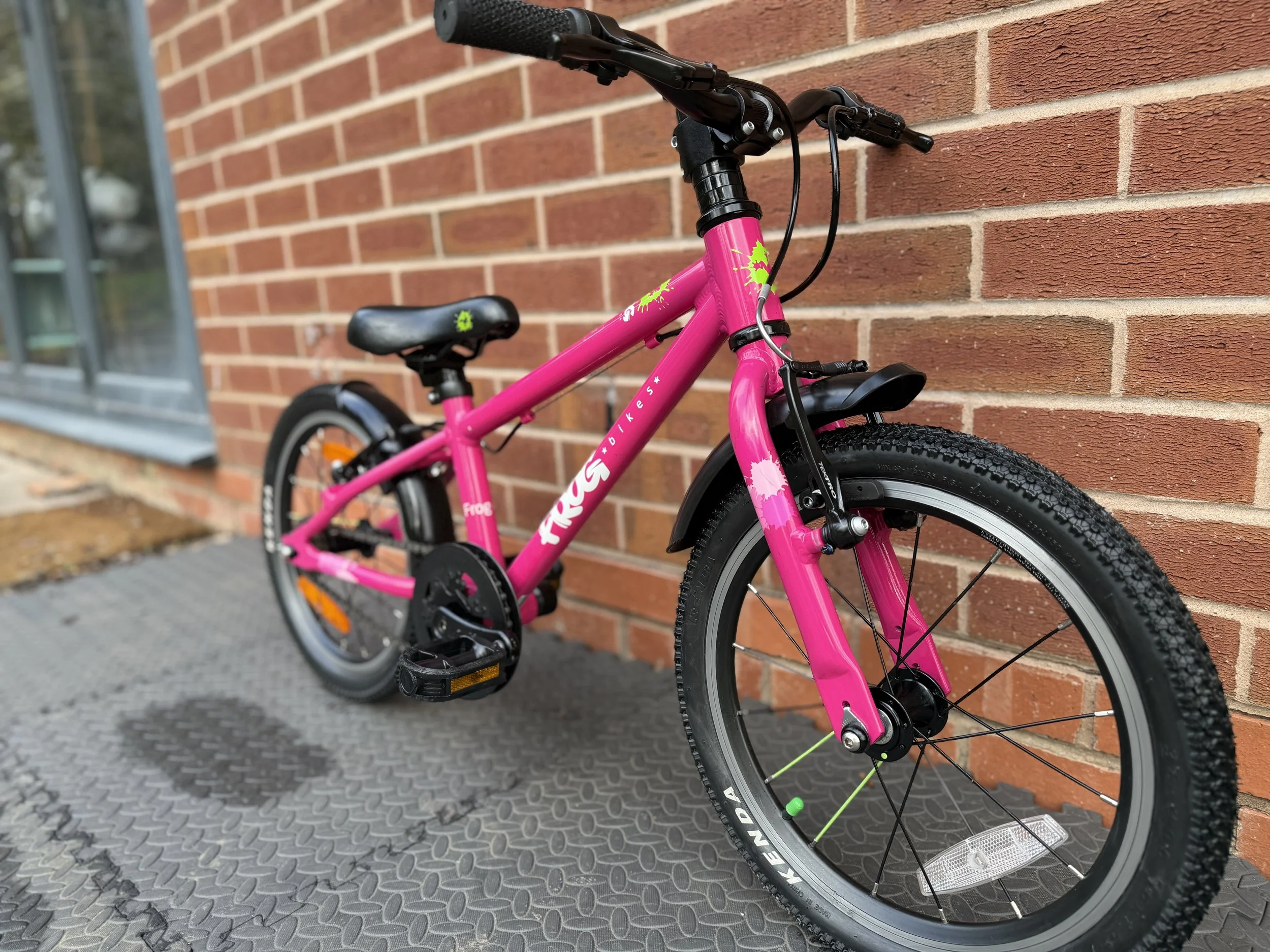 Pink Frog Bike 44 9 .jpg