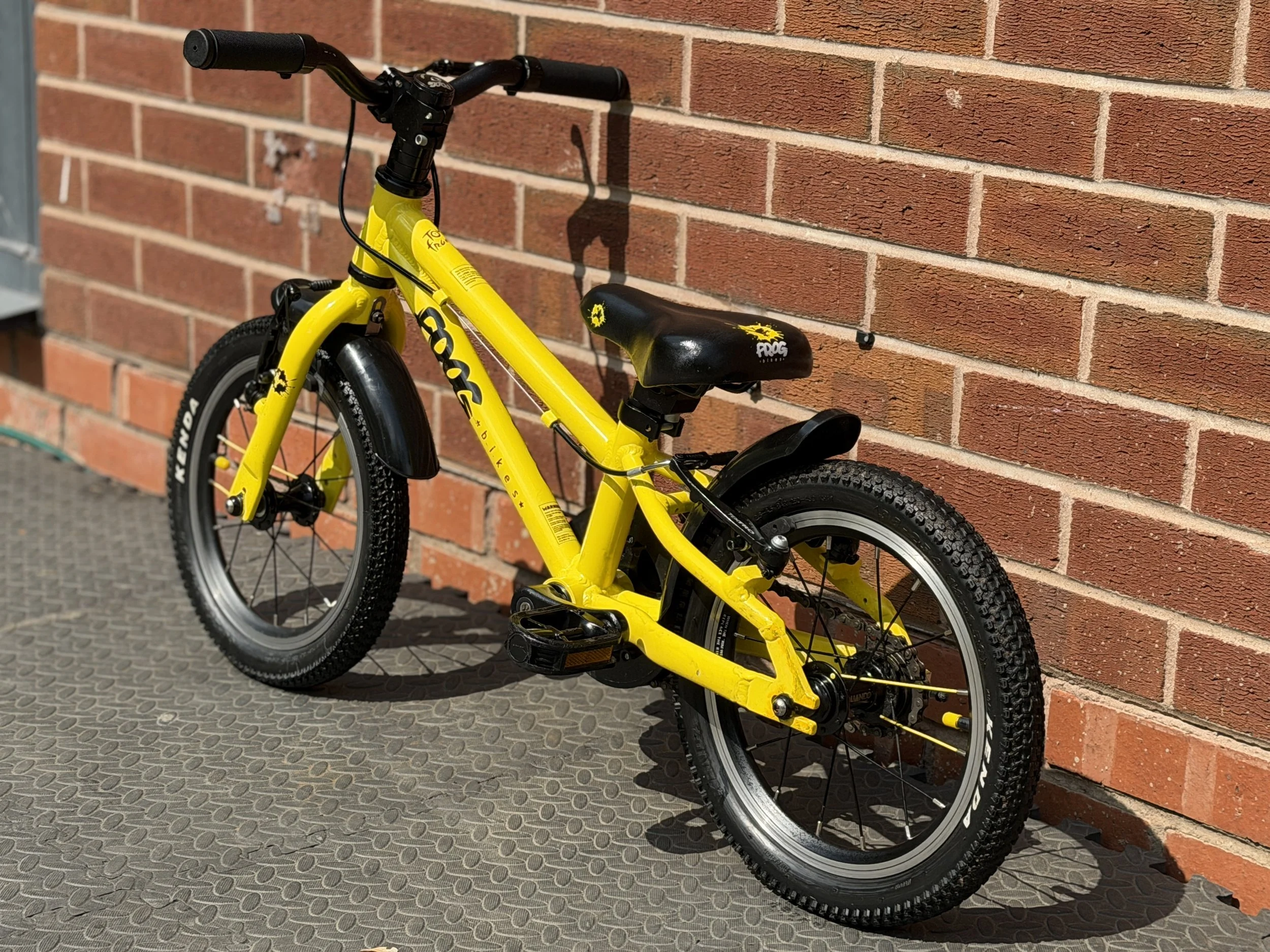 Yellow Frog 40 4 .jpg