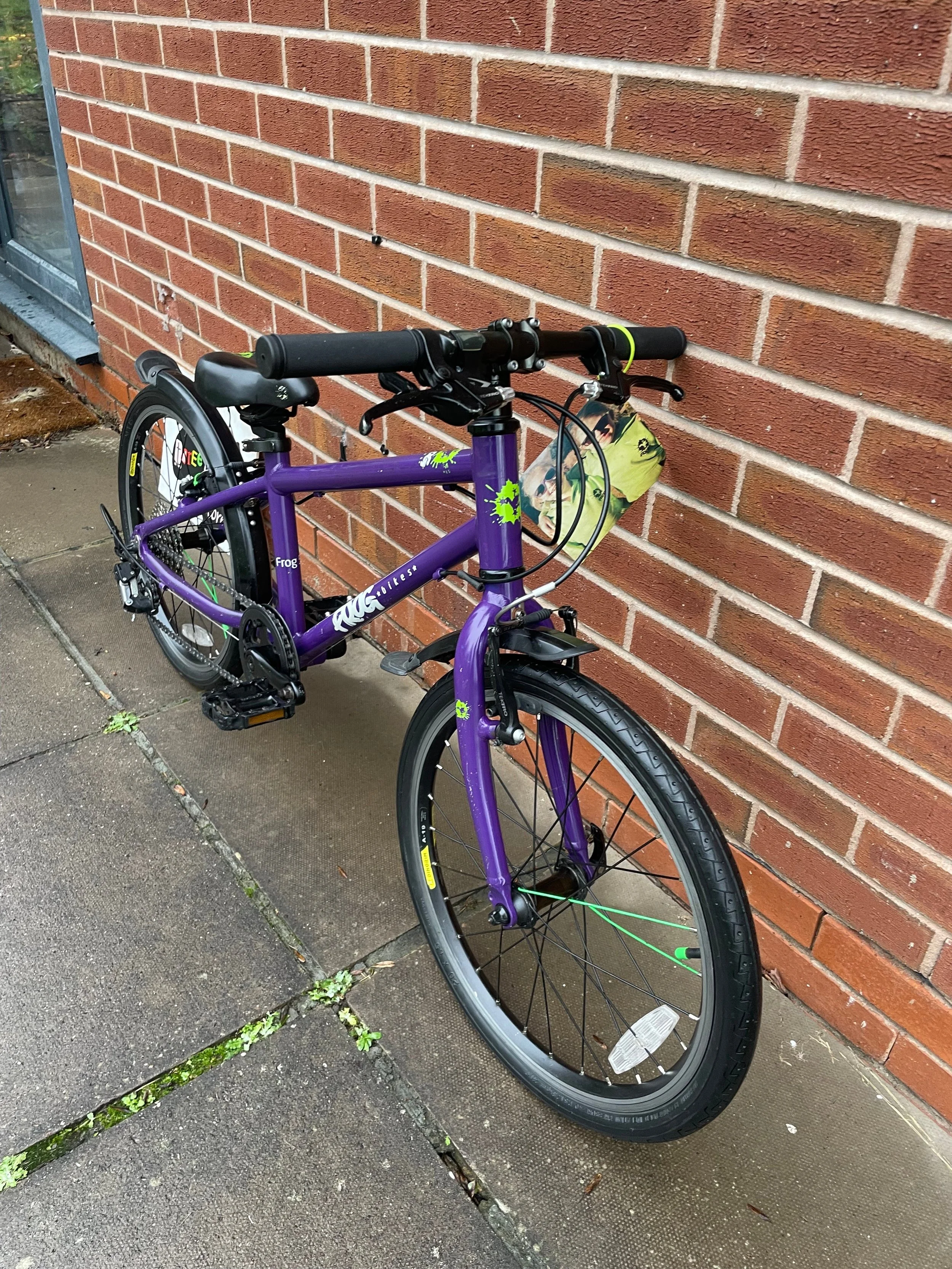 Frog 55 Purple 9.jpg