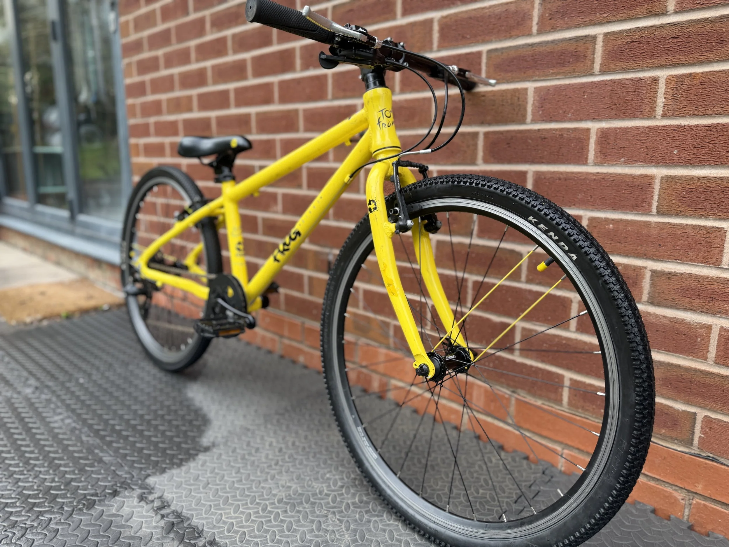 Frog 24” hybrid 9.jpg