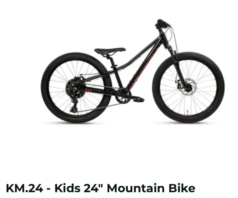 Batch Bicycles 24” youth mountain bike 2 .jpg