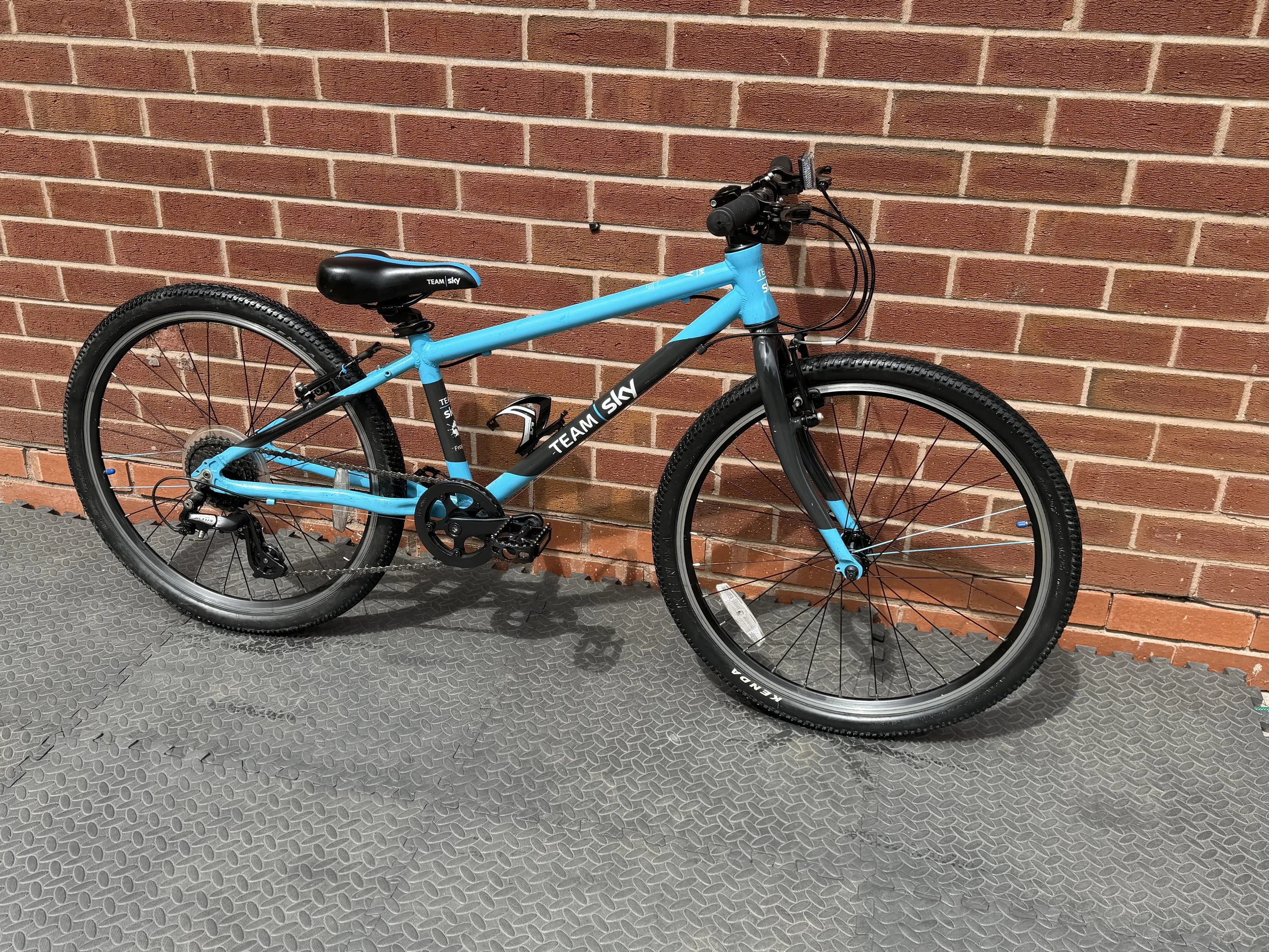 Team Sky Frog Bike 8.jpg