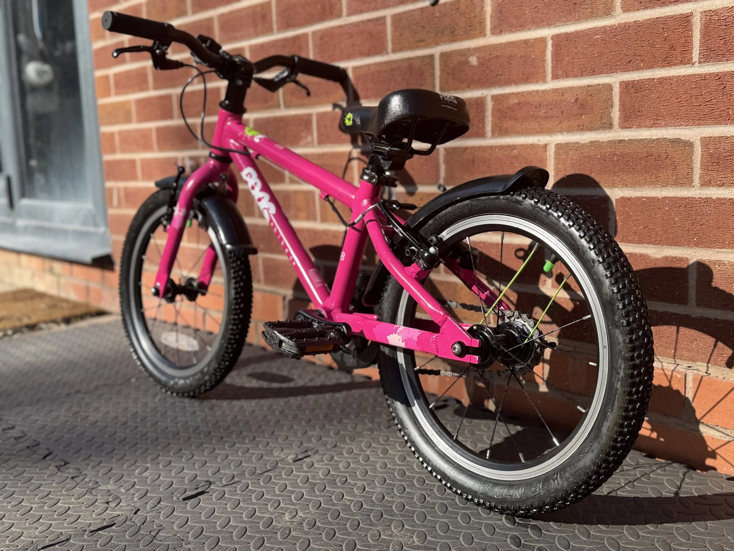 Pink Frog Bike 48 3 .jpg