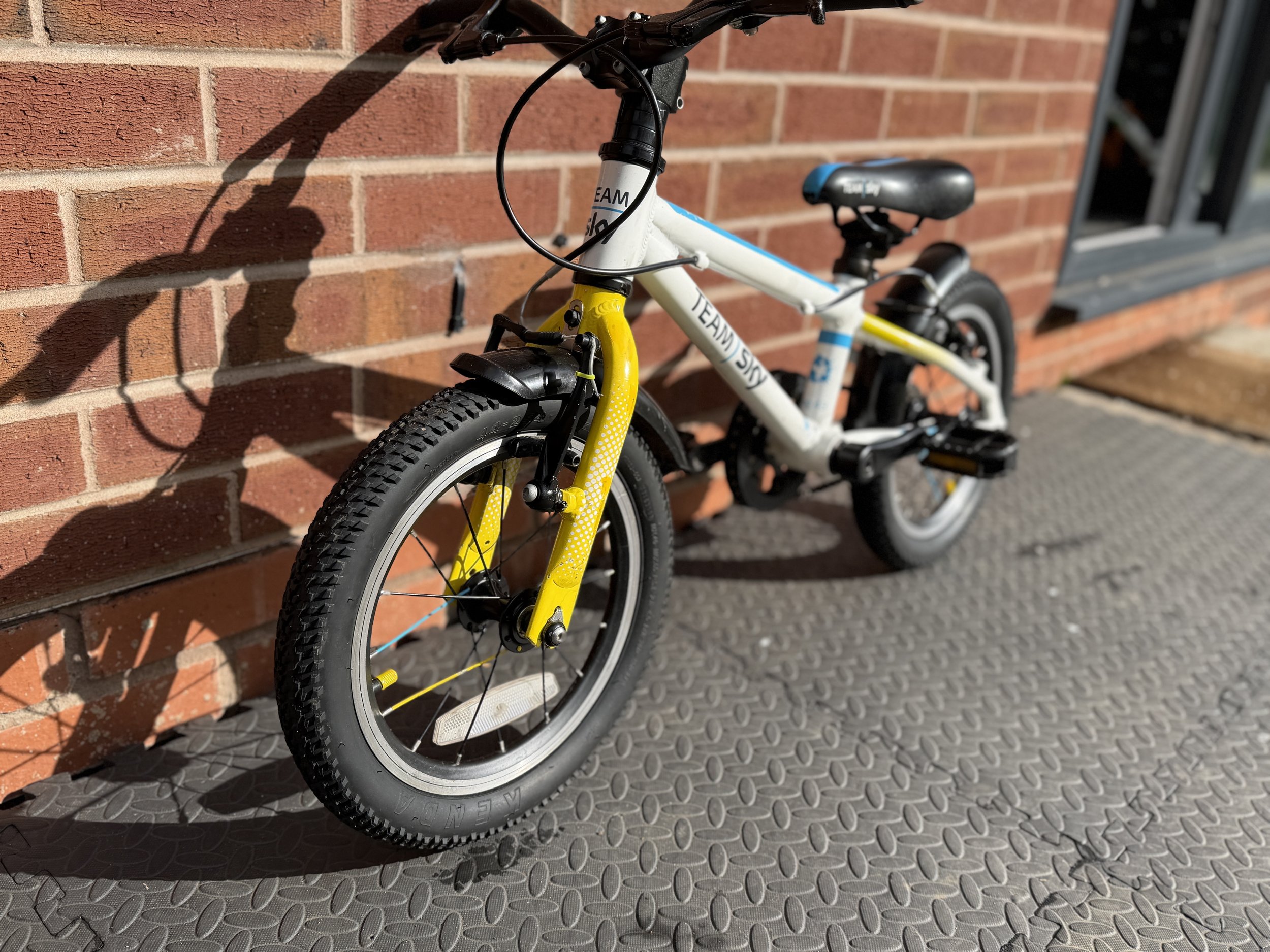 Frog Bike For Sale 4 .jpg