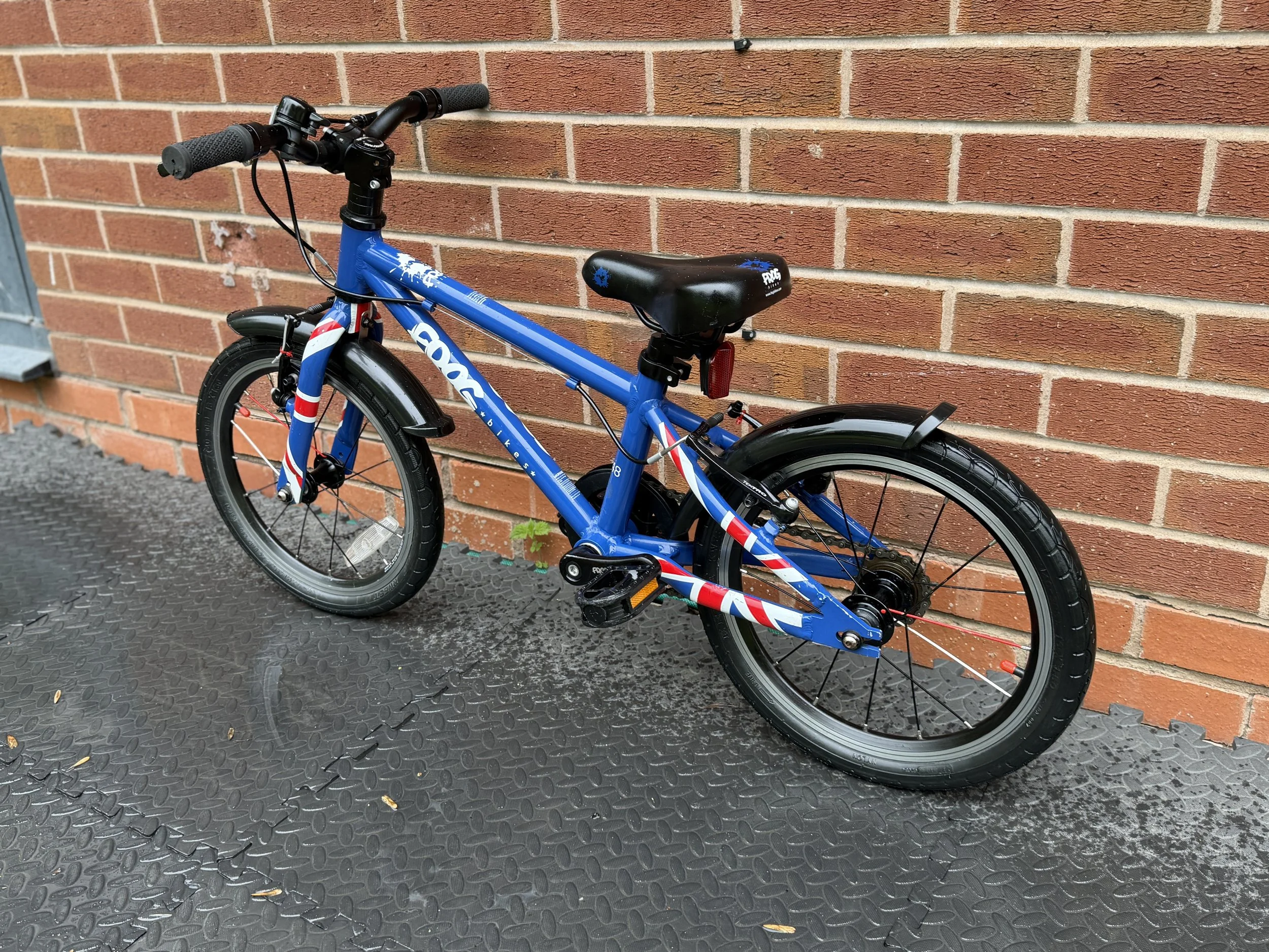 Blue Frog first pedal bike 4 .jpg