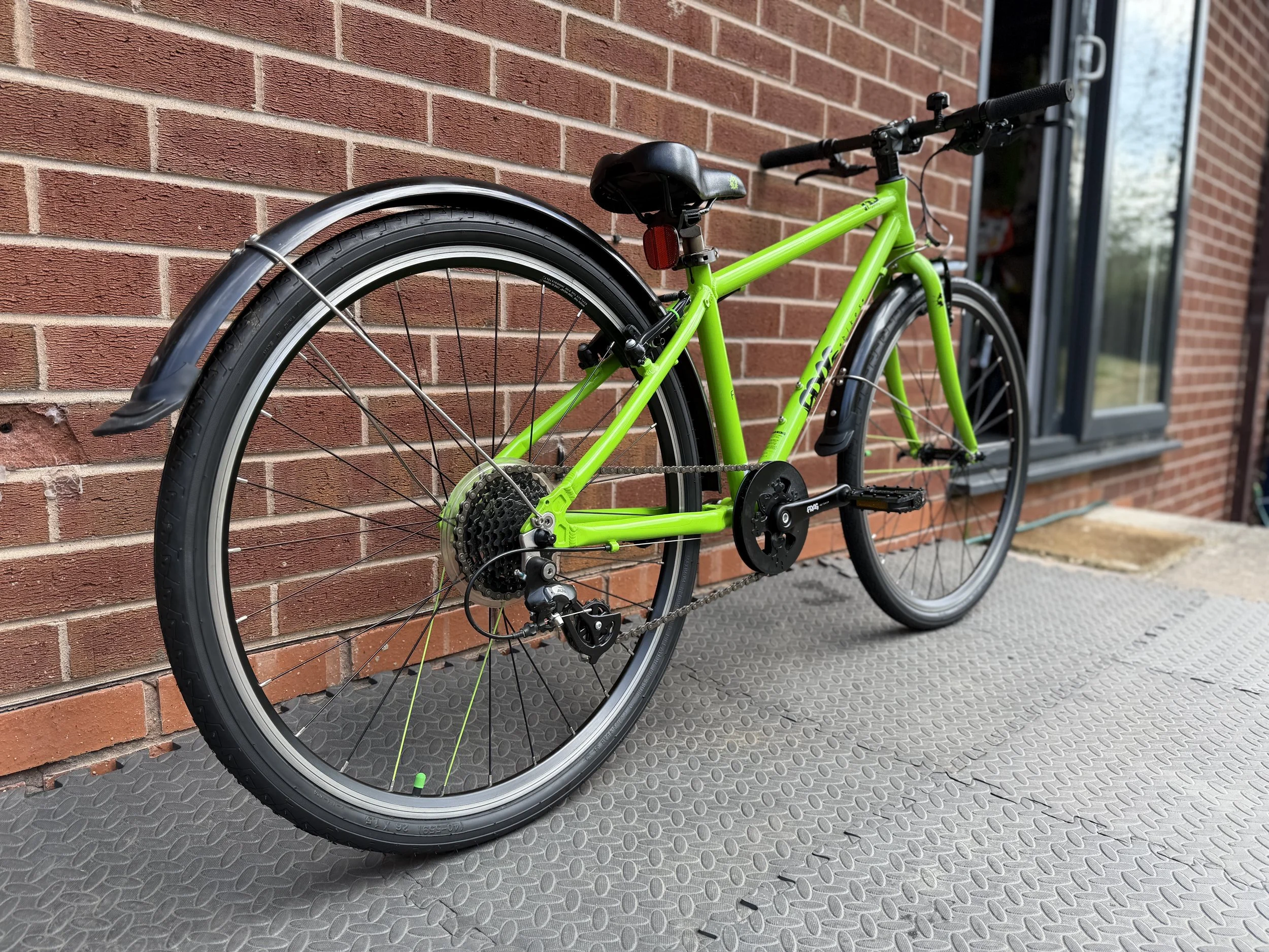 Green Frog 69 10.jpg