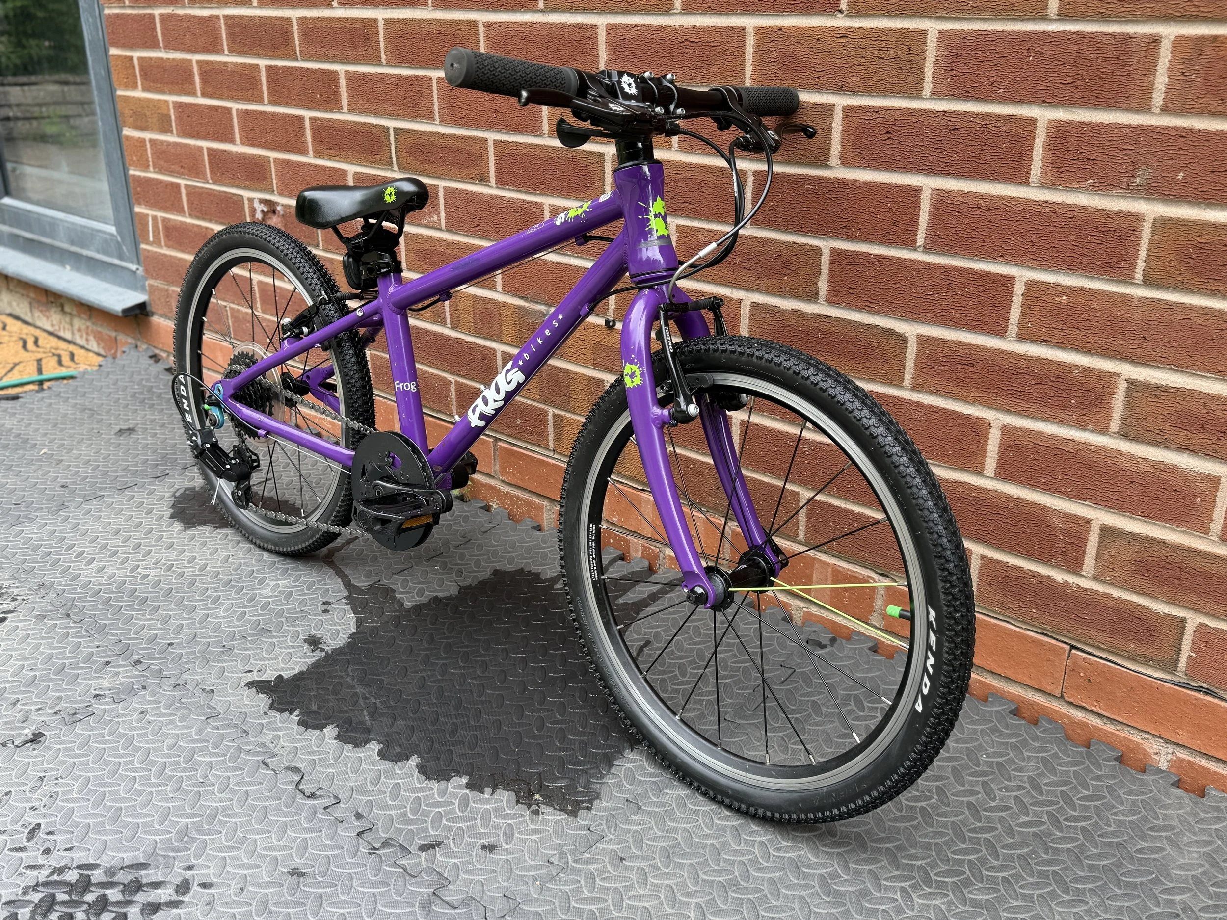 Purple Frog 53 9 .jpg