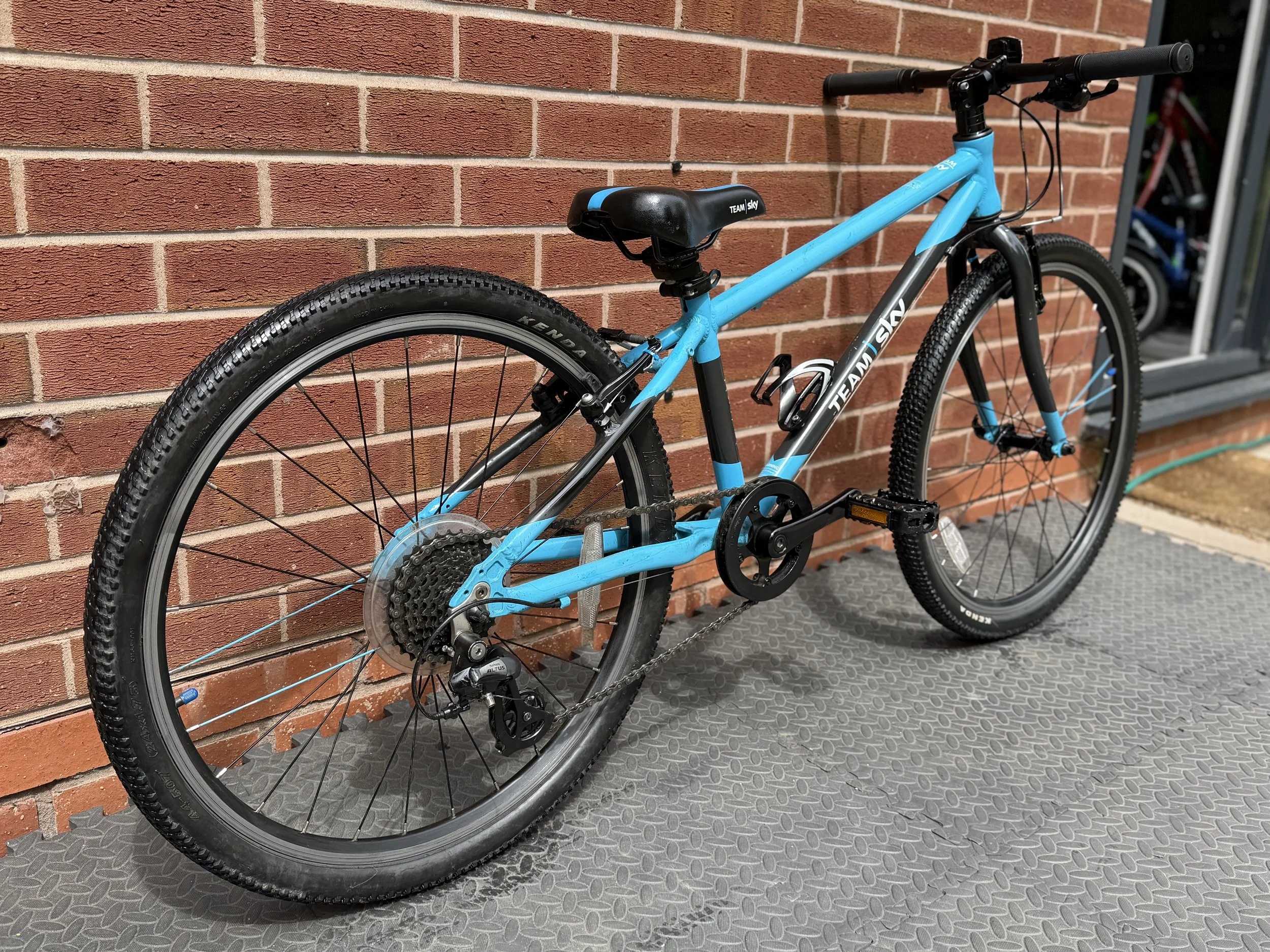 Team Sky Frog Bike 10.jpg