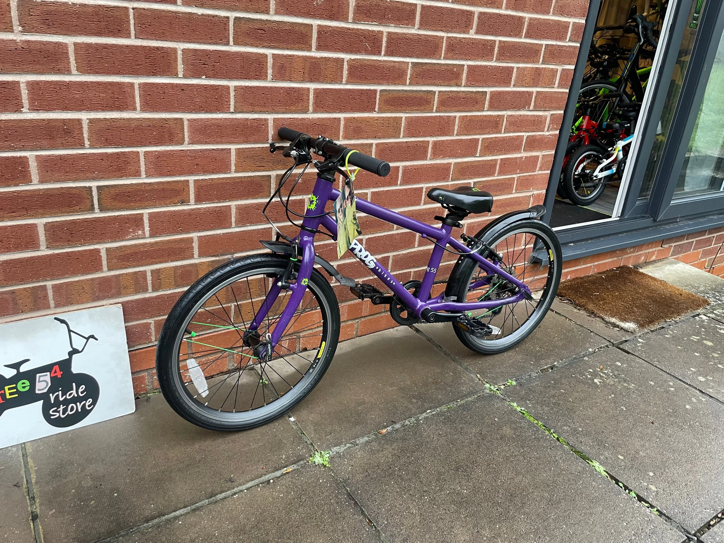 Frog 55 Purple 2.jpg