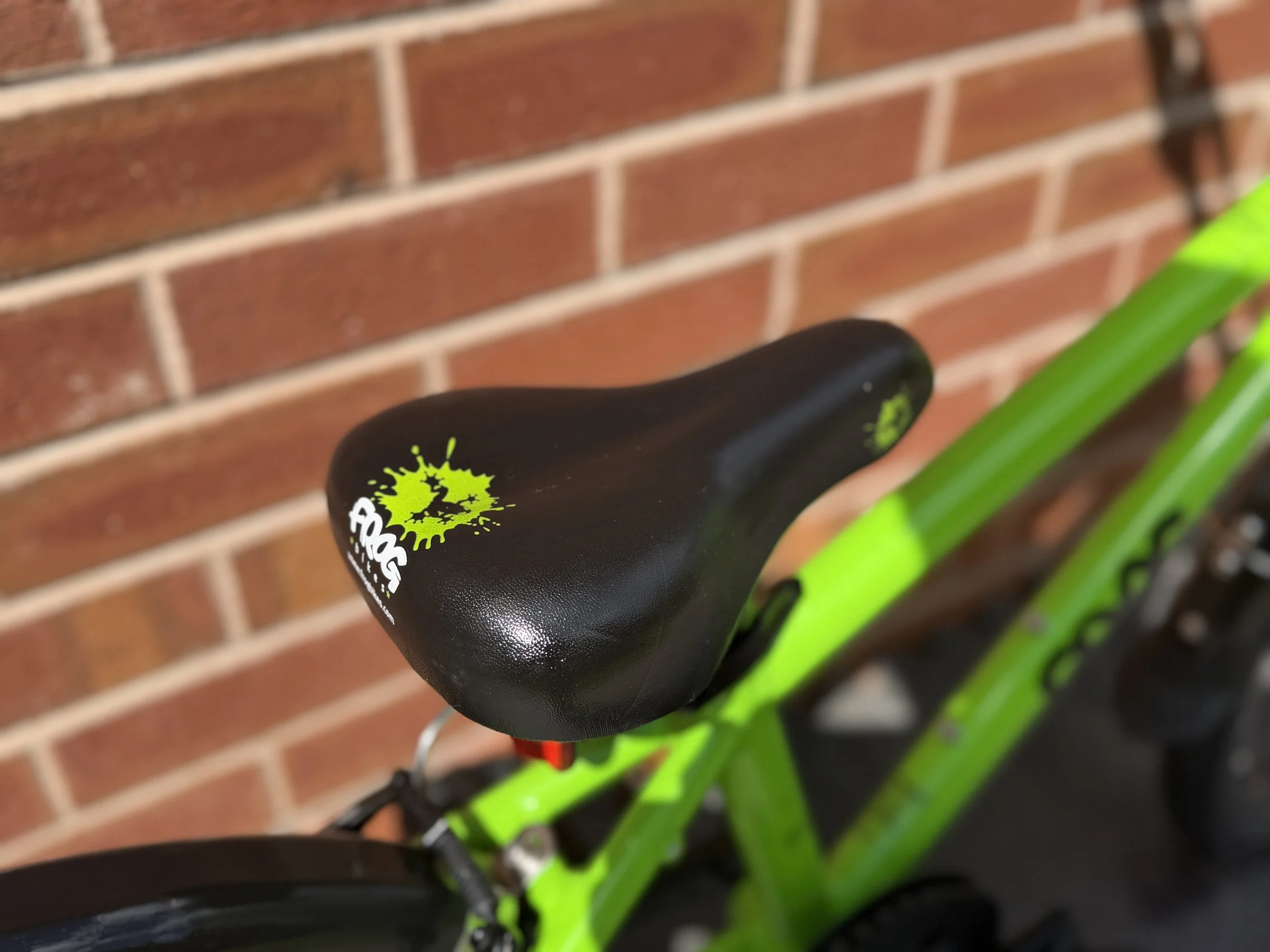 Green Frog 52 12 .jpg