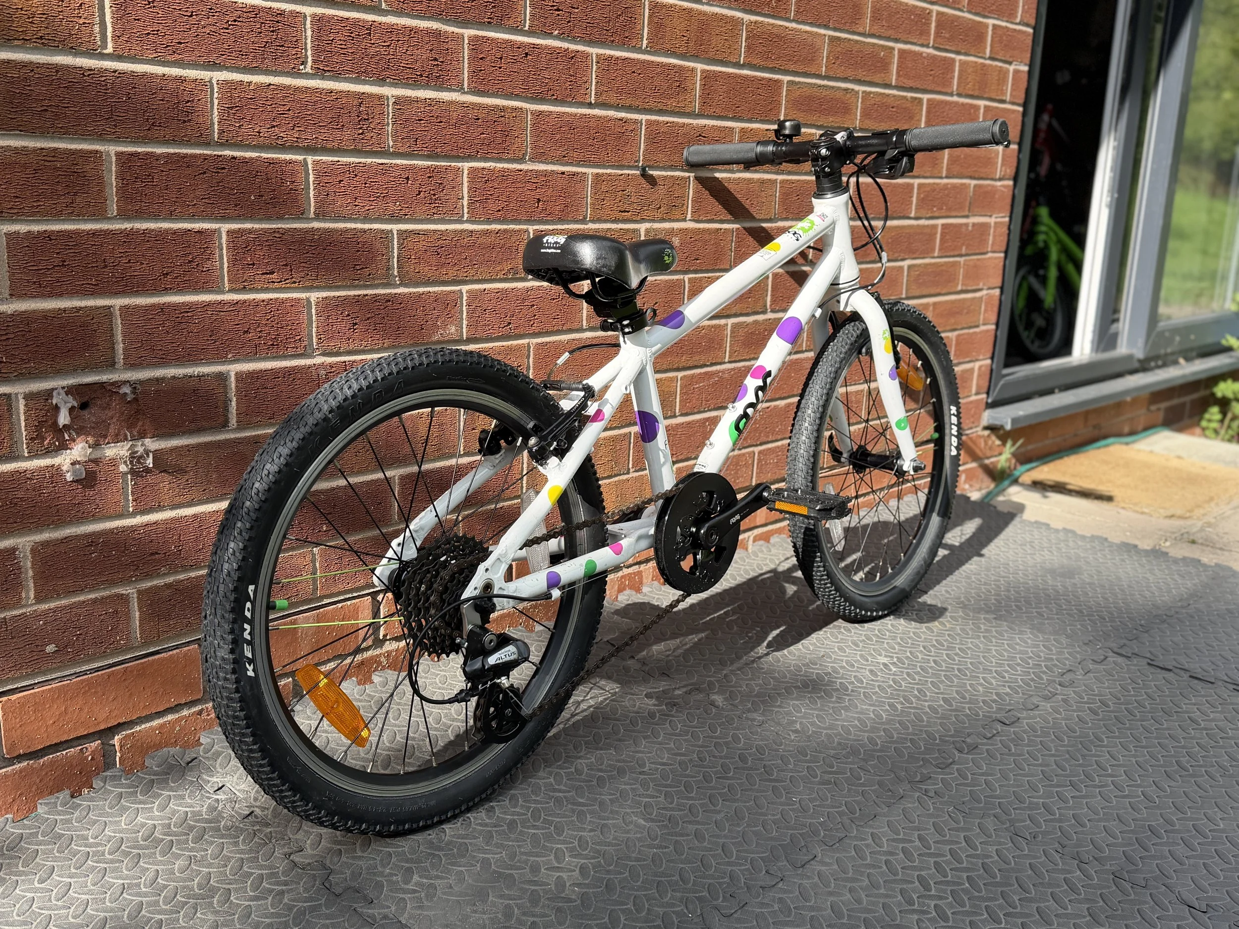 Spotty Frog Bike 10.jpg