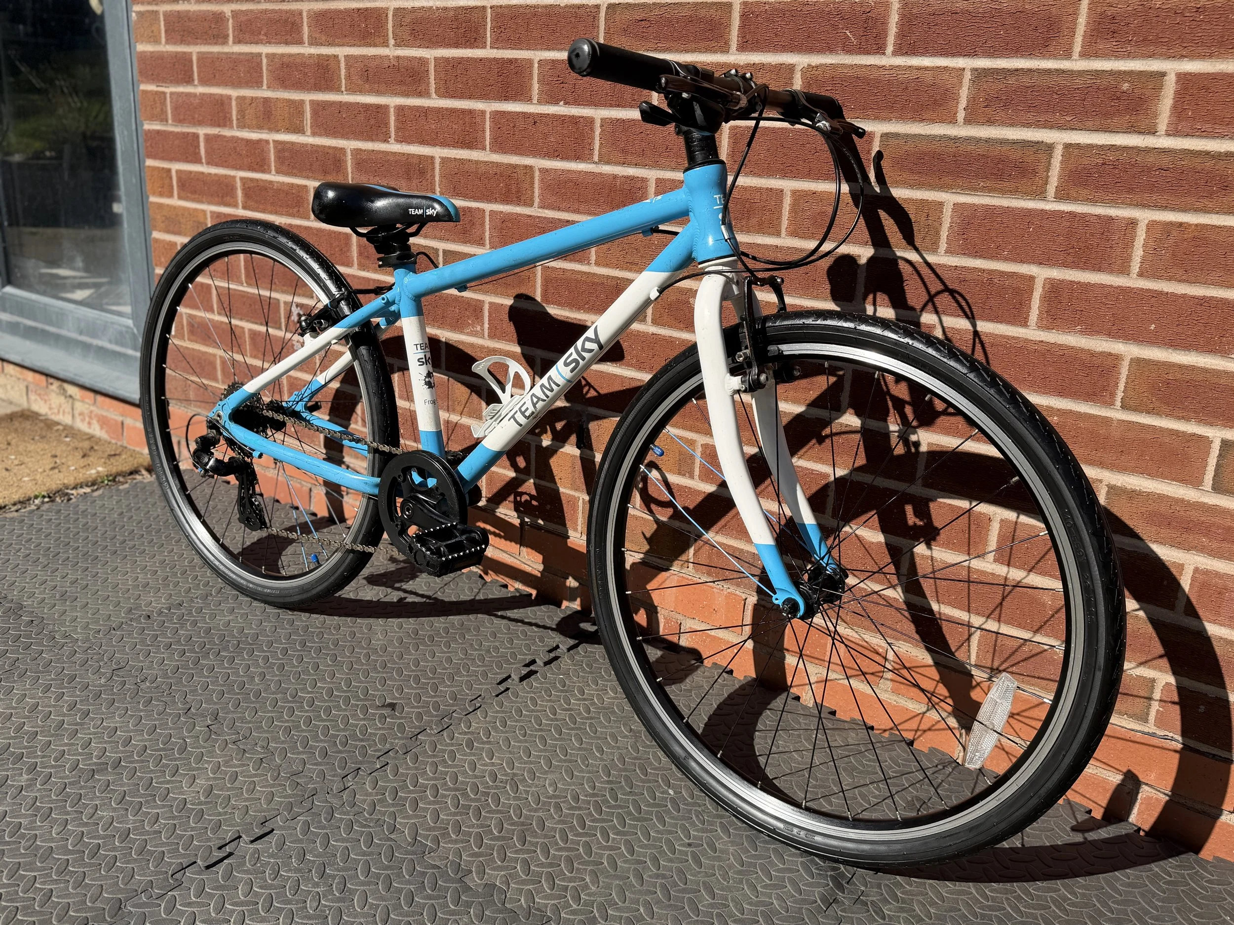 Team Sky Frog 69 8 .jpg