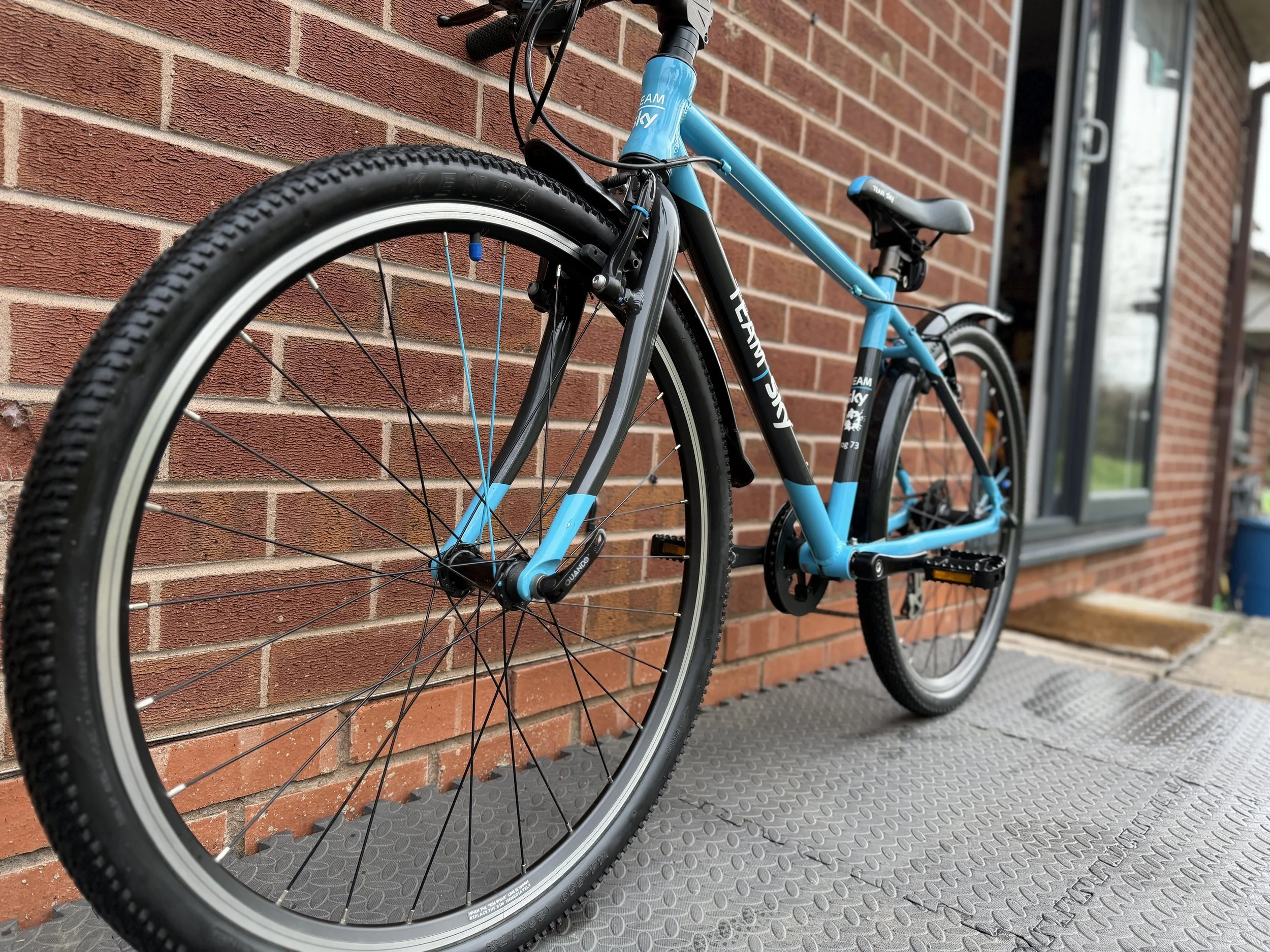 Team Sky Frog 73 5.jpg