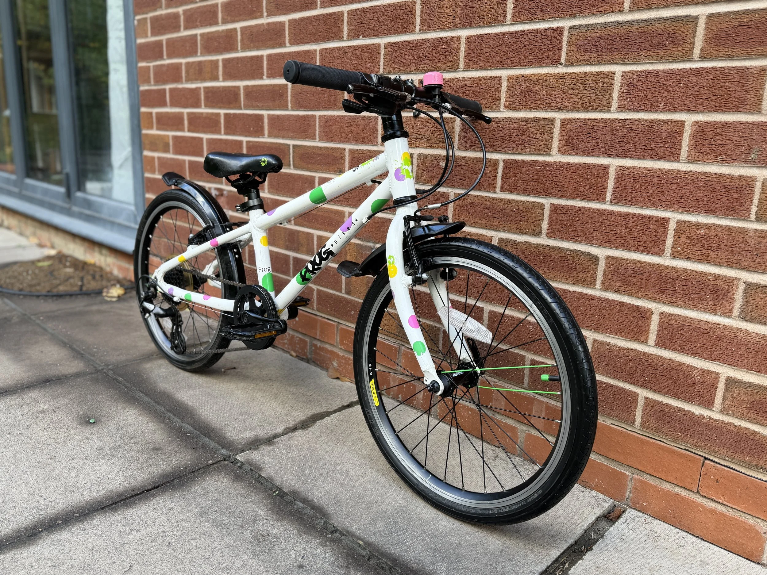 Spotty Frog Bike 9 .jpg
