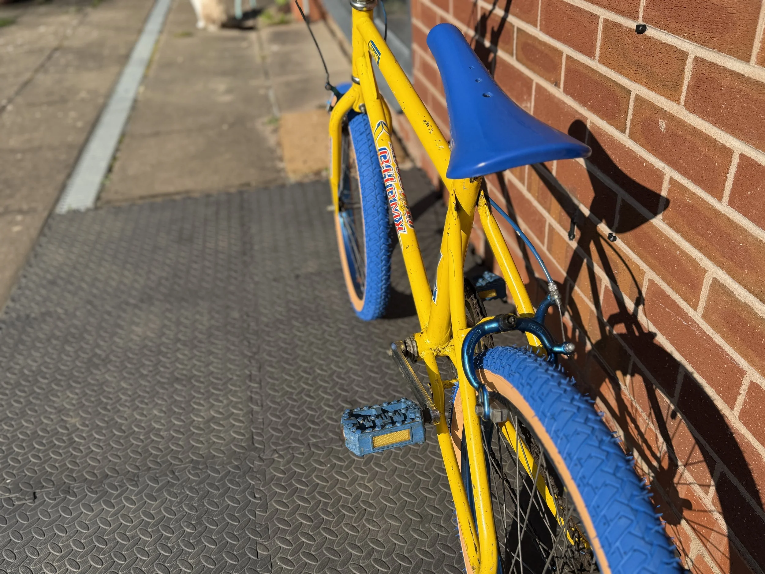 Old School BMX 8 .jpg