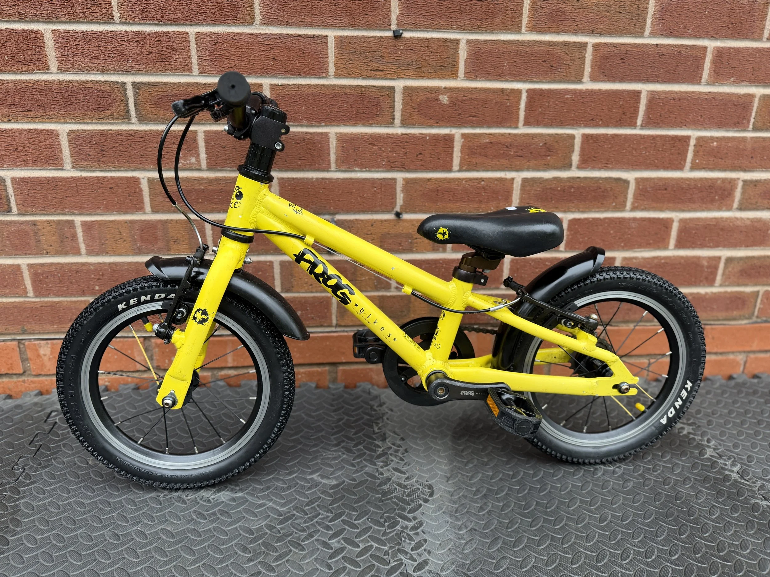 Yellow Frog Bike 40 6.jpg
