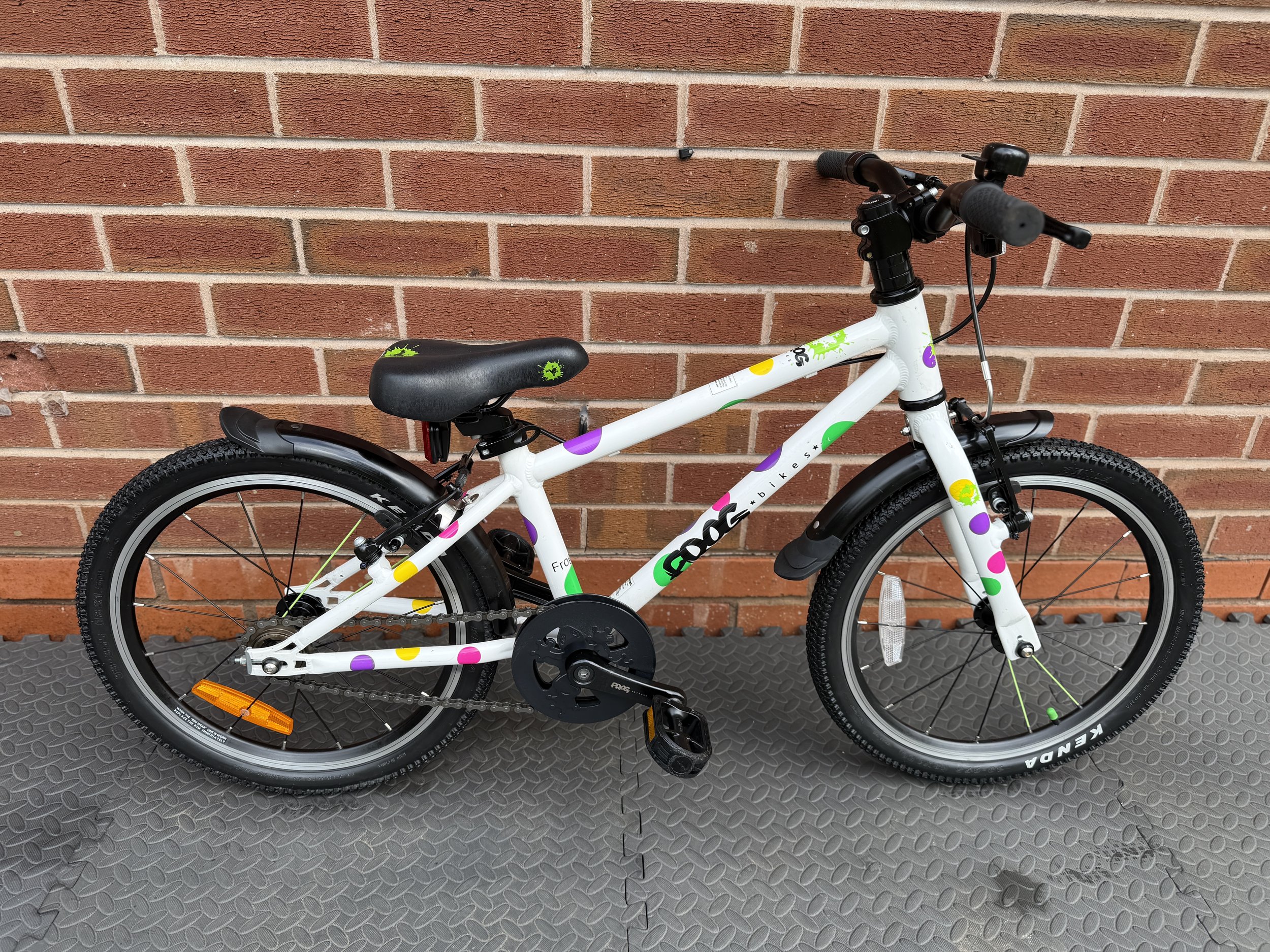 Spotty Frog 47 6.jpg