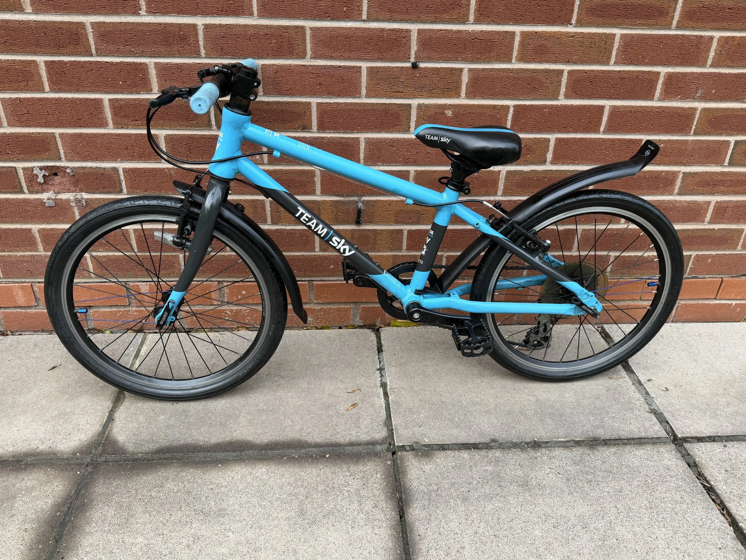 Frog Bikes for sale 1 .jpg