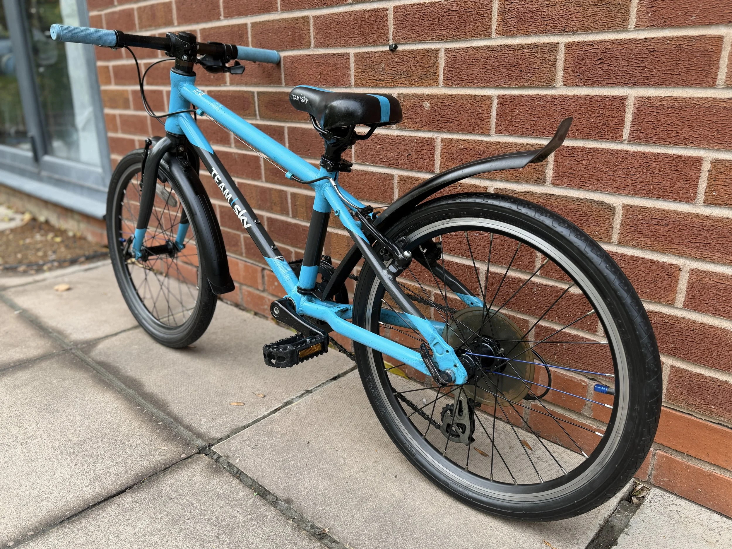 Frog Bikes for sale 4 .jpg