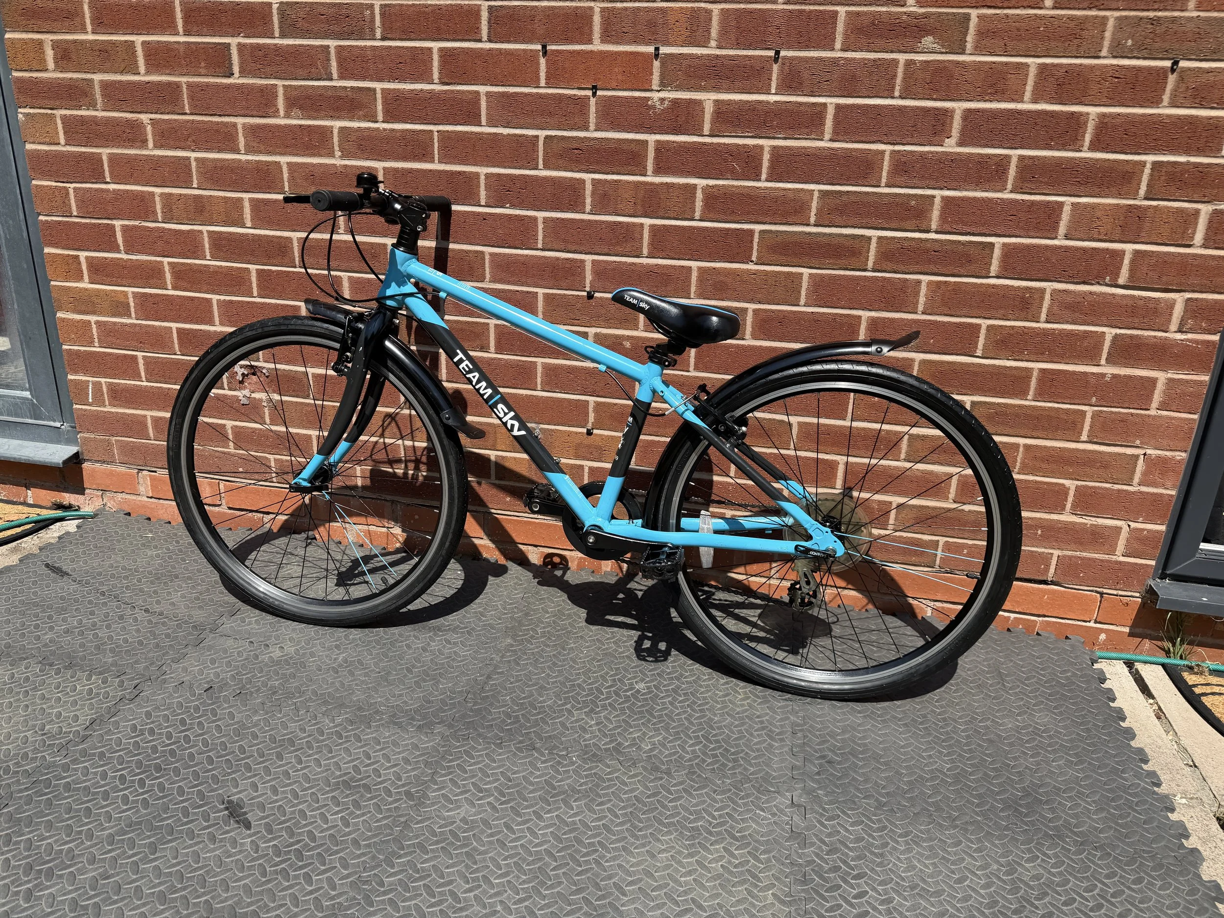 Team Sky Pro Cycling Frog Bike 3 .jpg