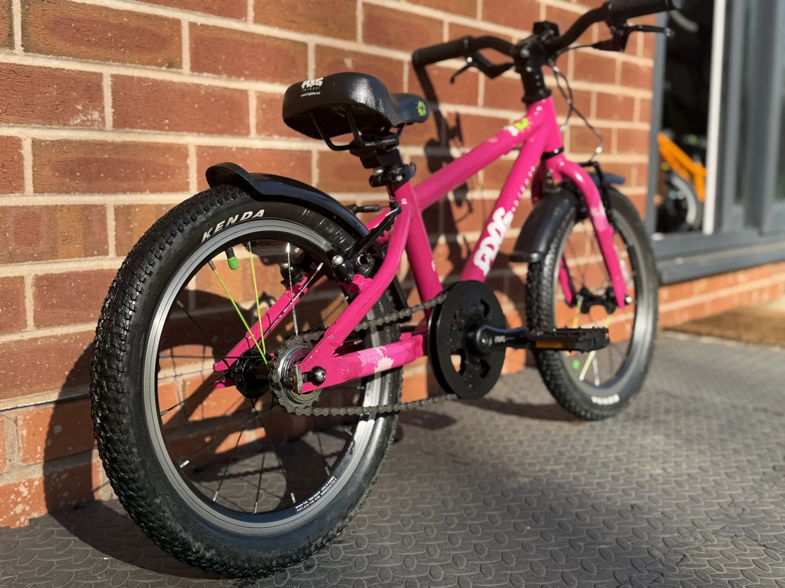 Pink Frog Bike 48 10.jpg