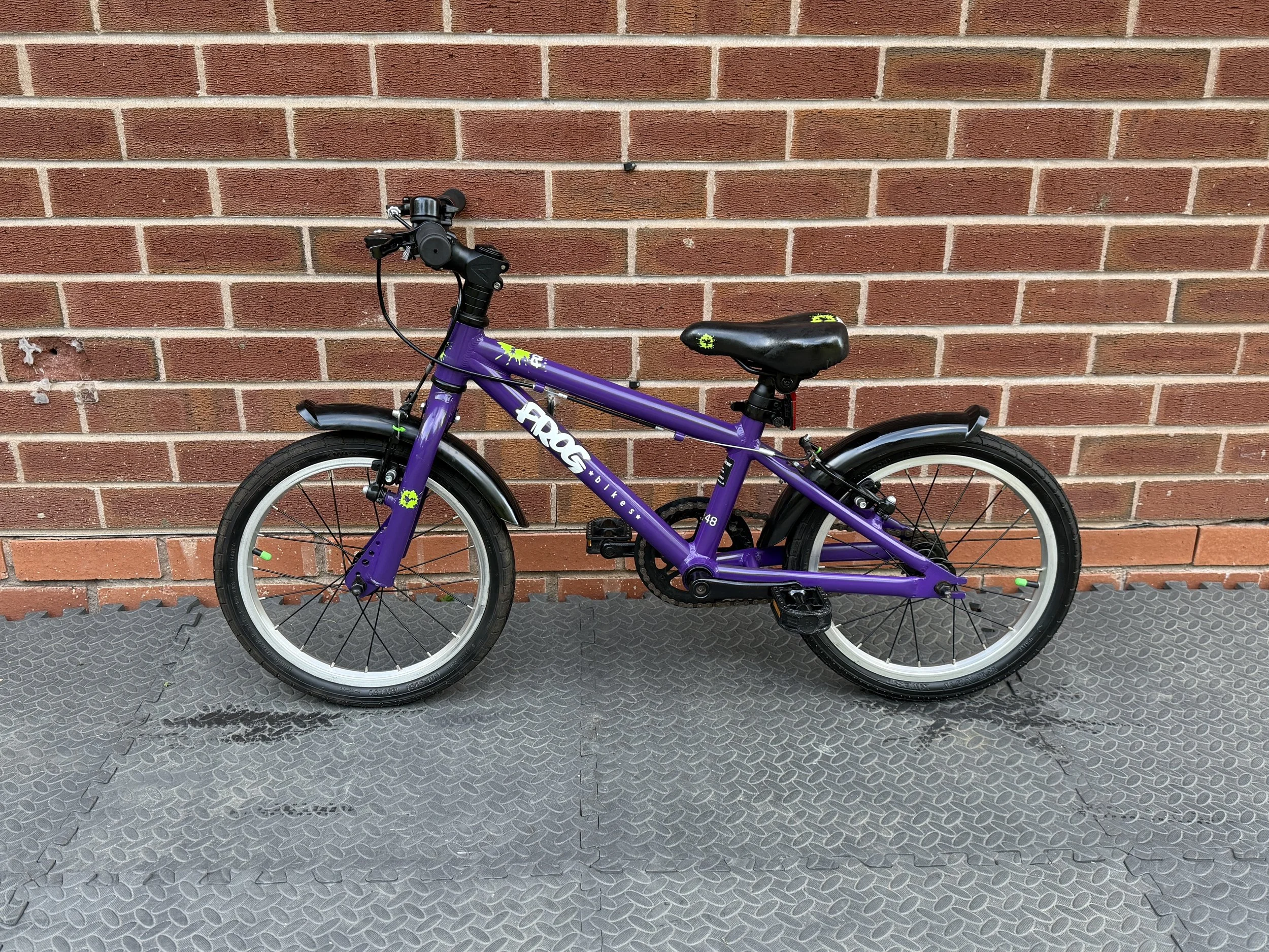 Purple Frog Bike 48 1 .jpg