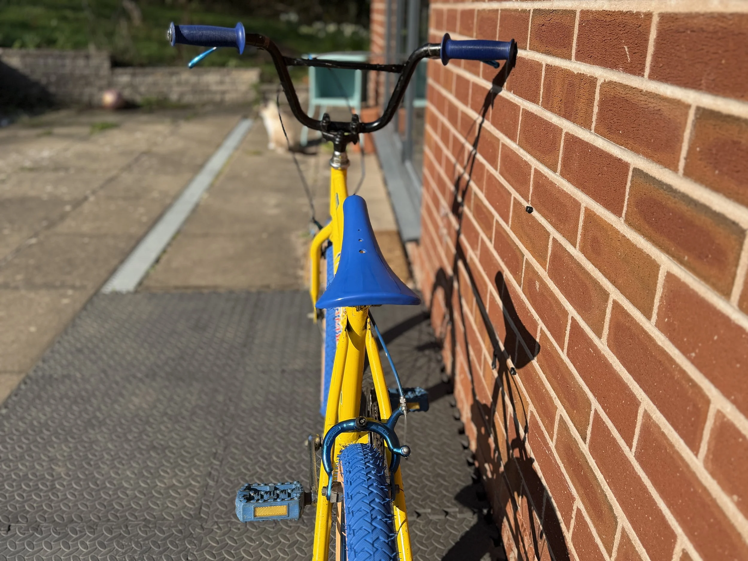 Old School BMX 10 .jpg