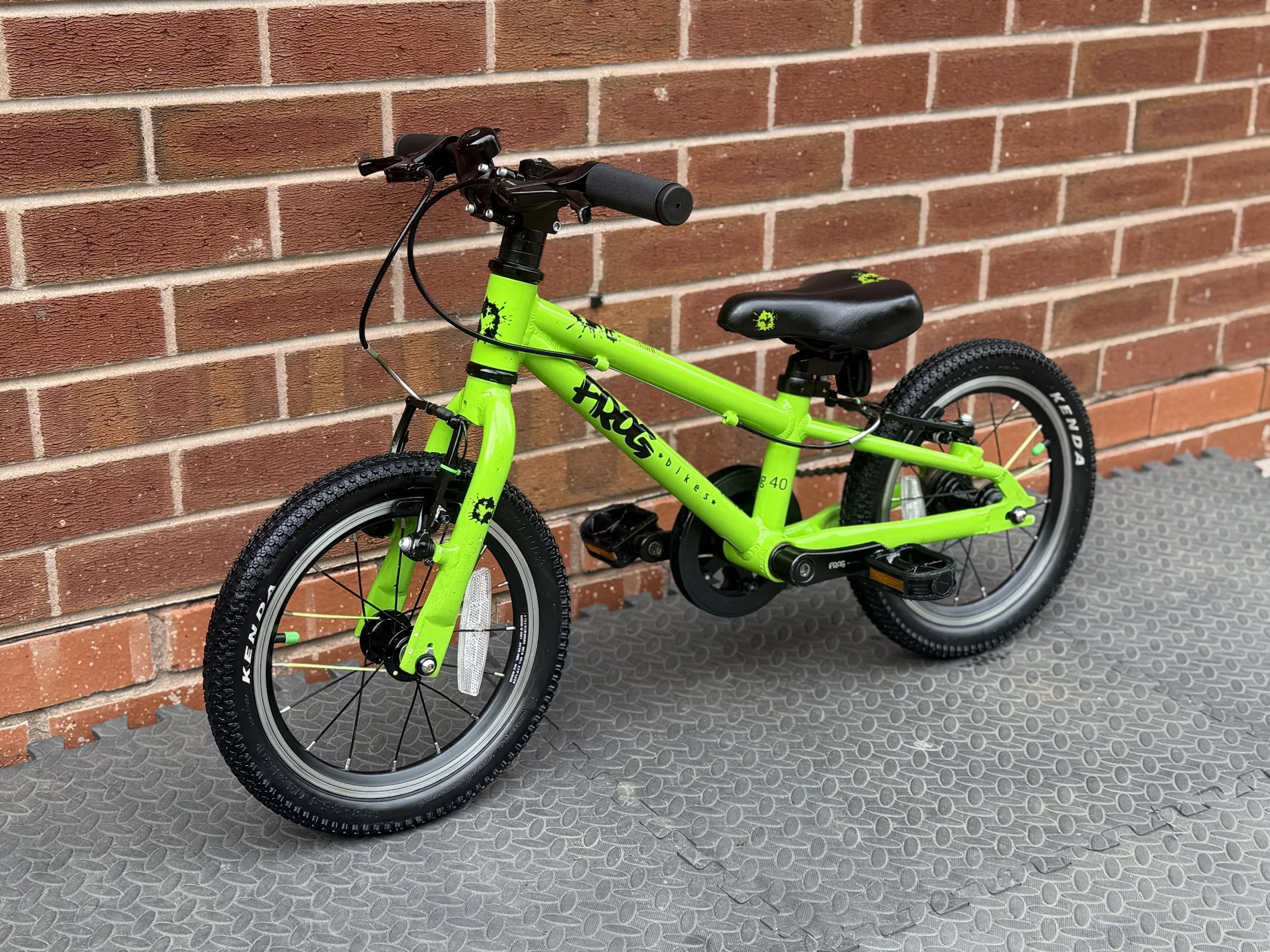 Green Frog 40 2 .jpg