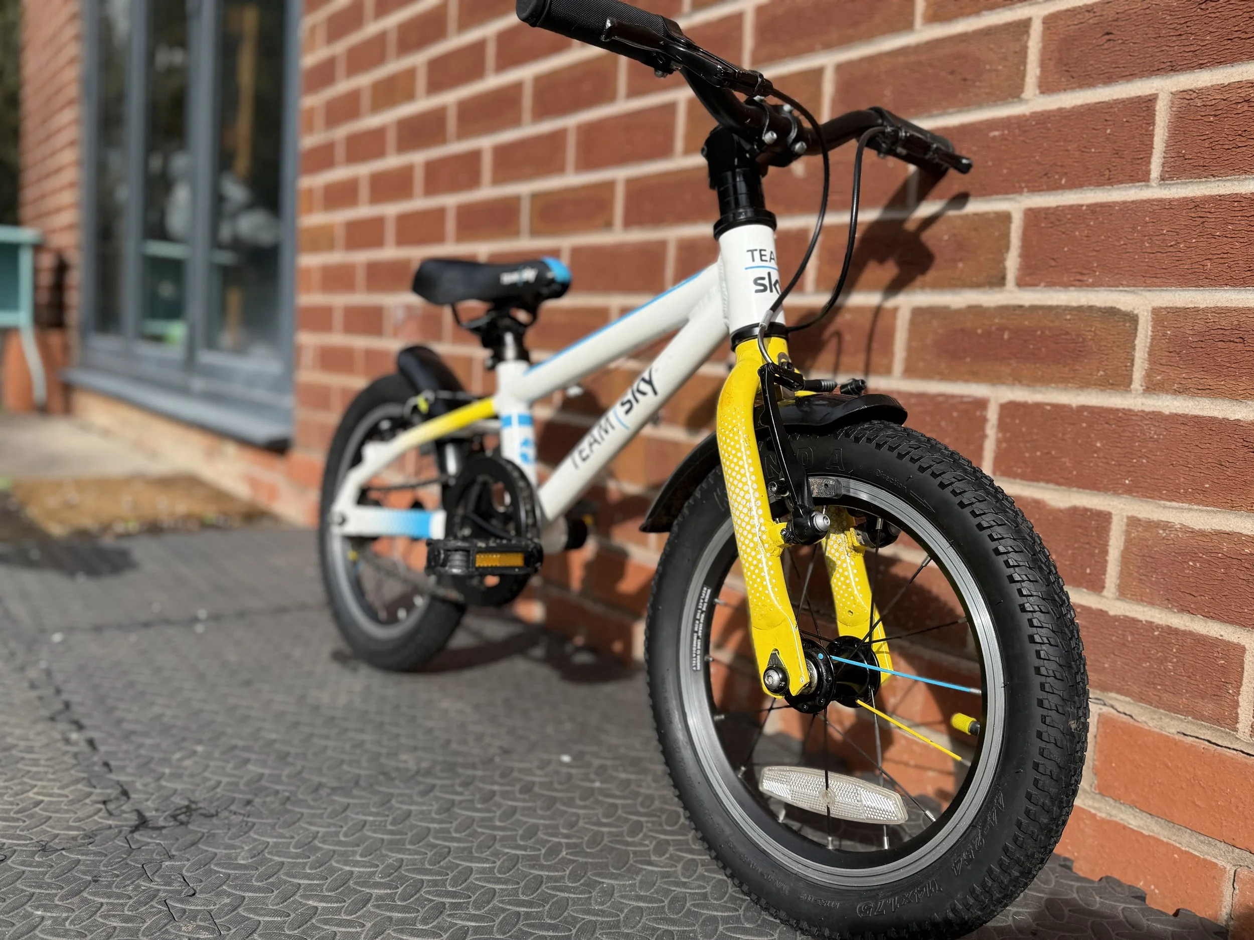 Frog Bike For Sale 9.jpg