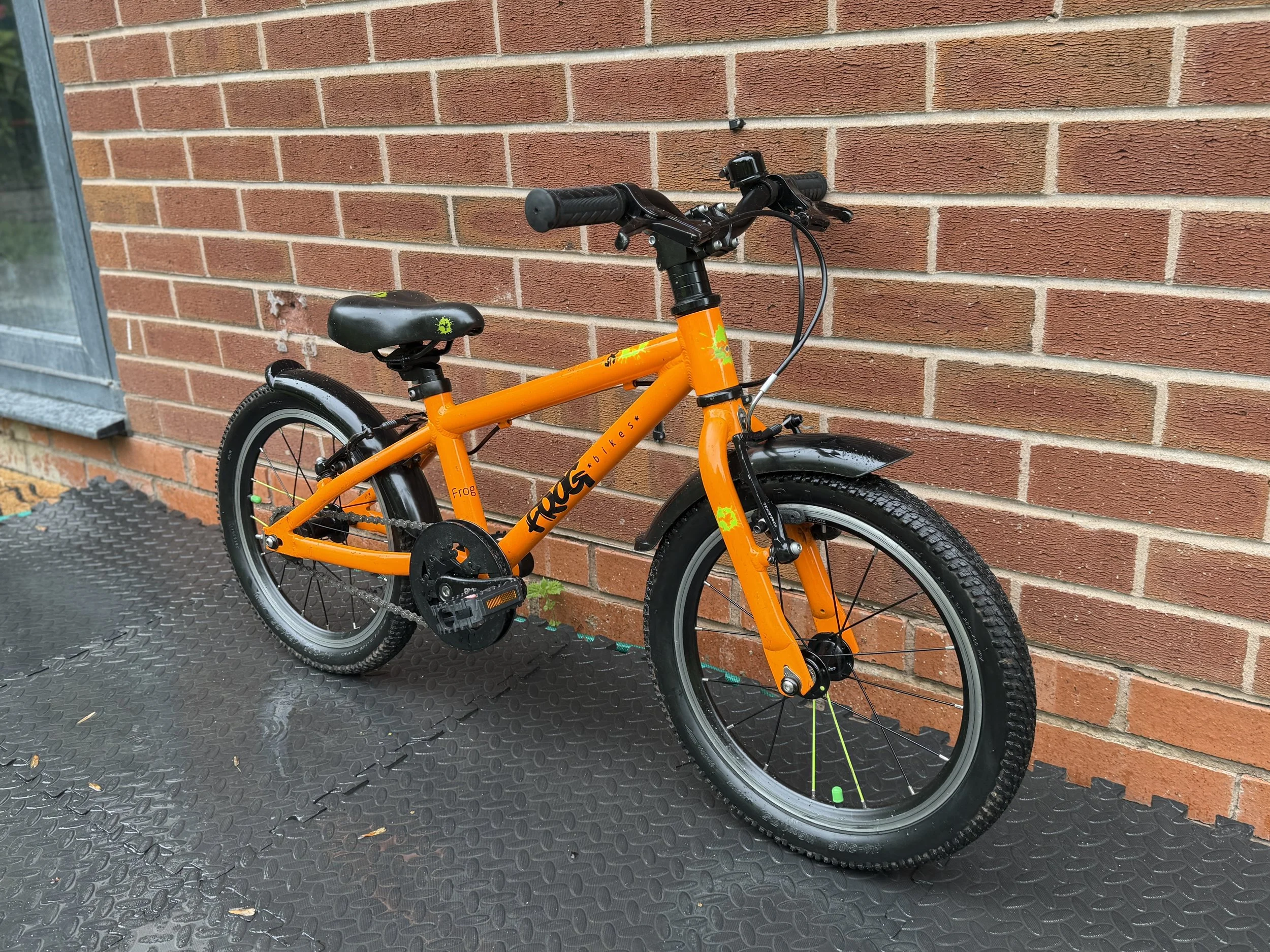 Orange Frog 48 9.jpg