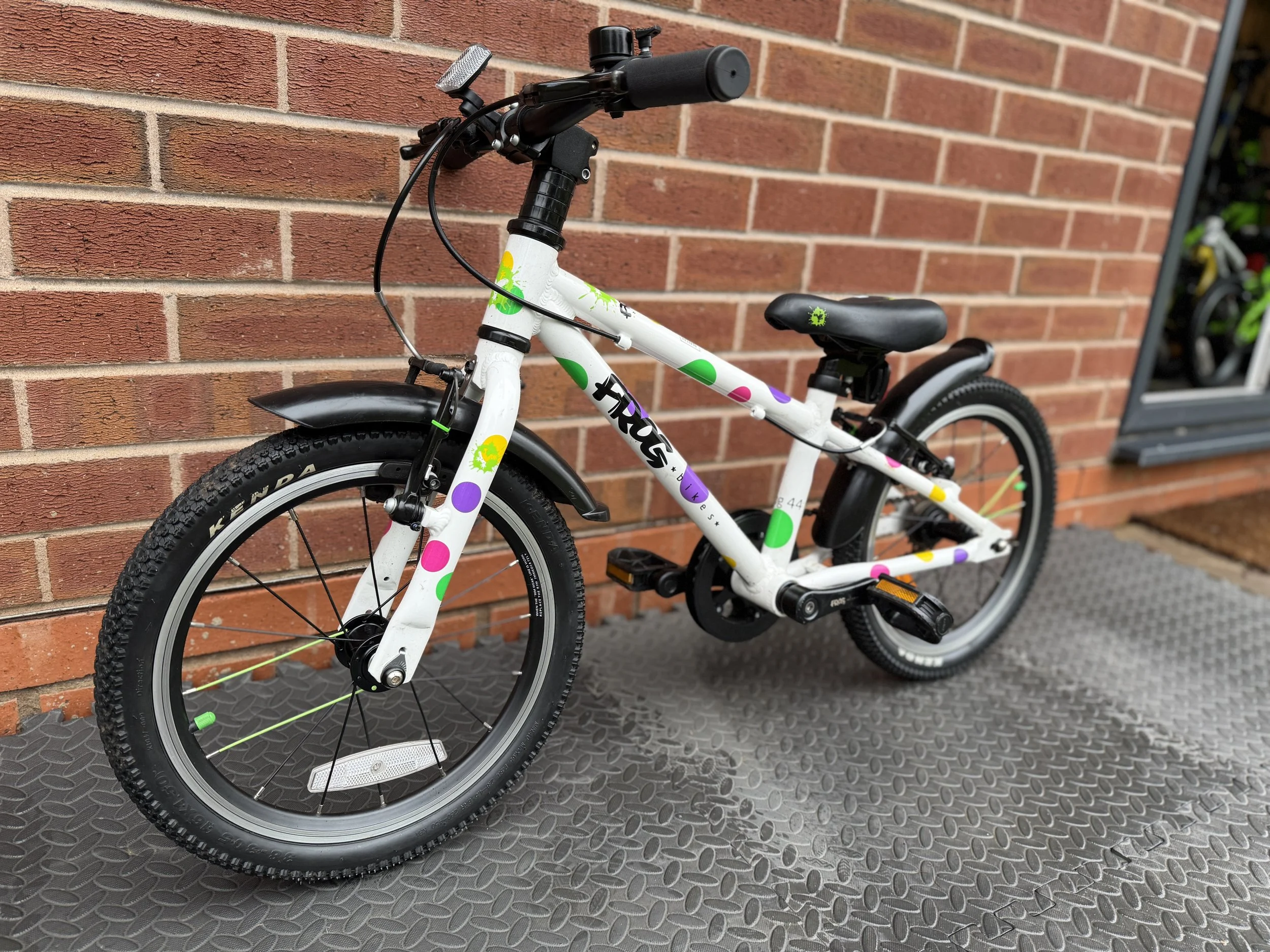 White Spotty Frog 44 2.jpg