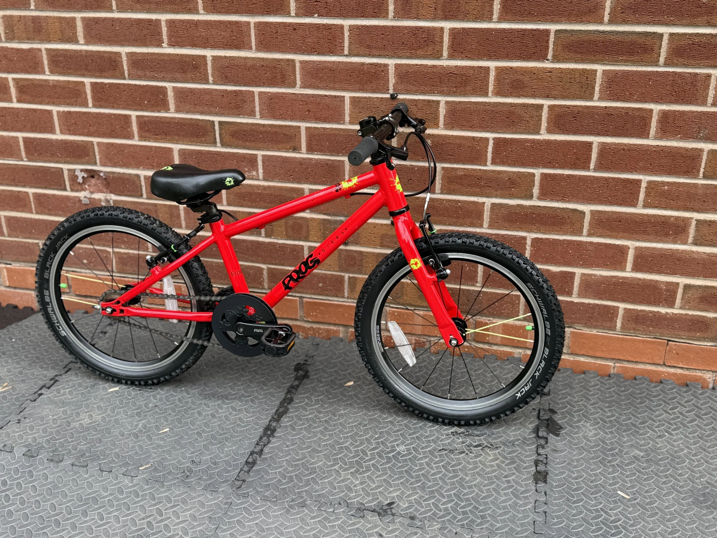 Red Frog Bike 48 8 .jpg