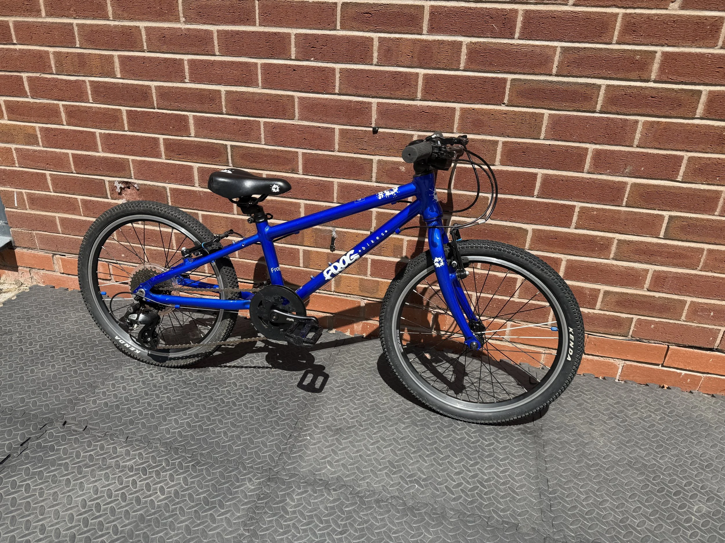 Electric Blue Frog 52 For Sale 8  2.jpg
