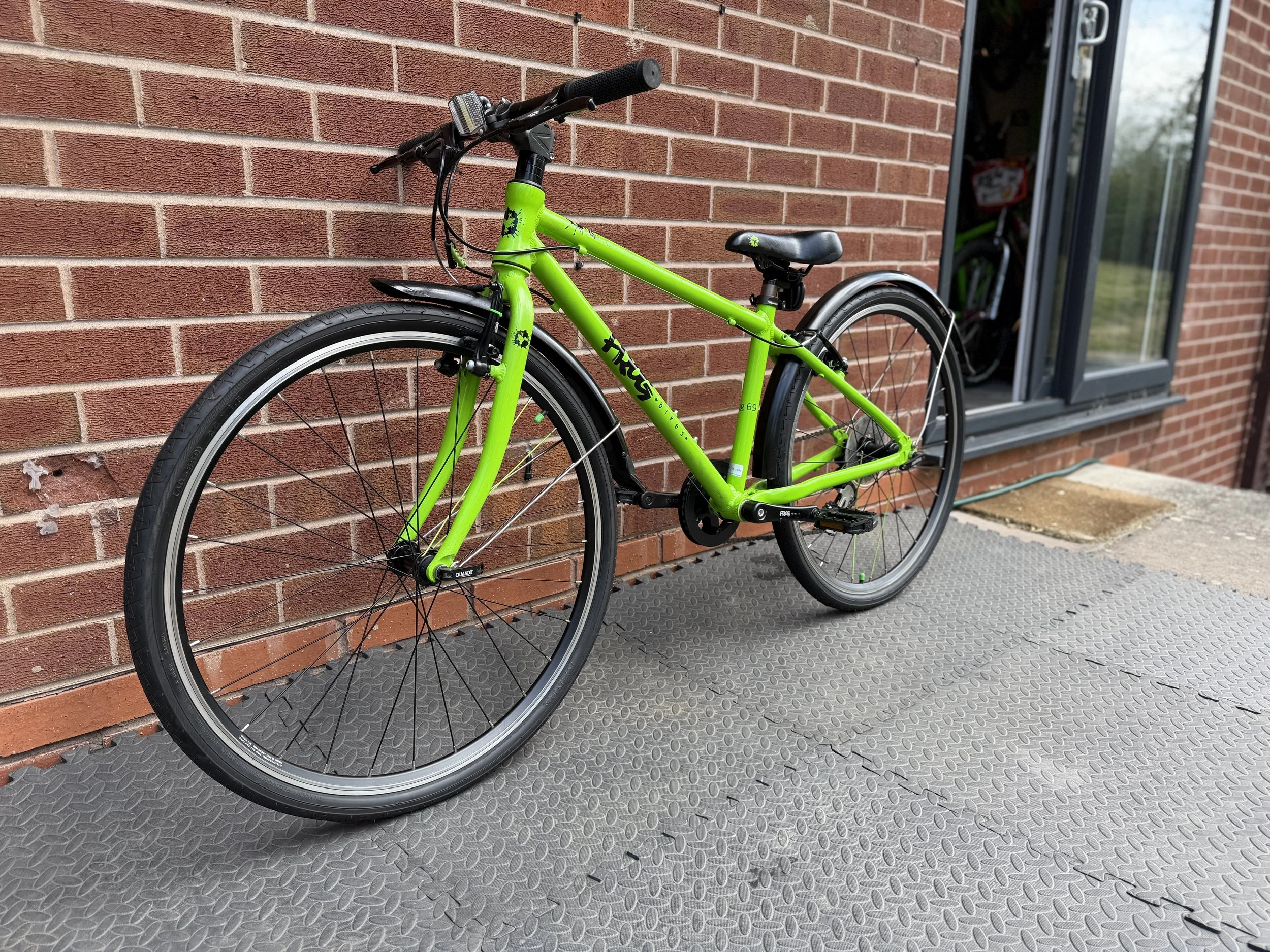 Green Frog 69 5 .jpg